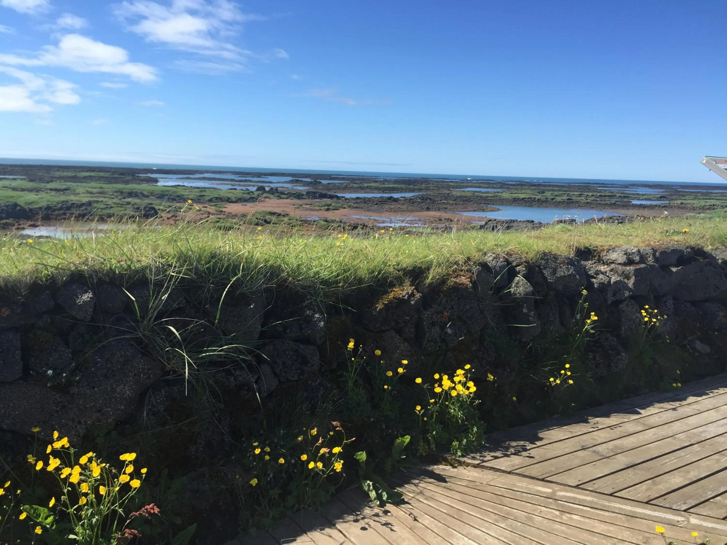 Ocean Beach Apartments