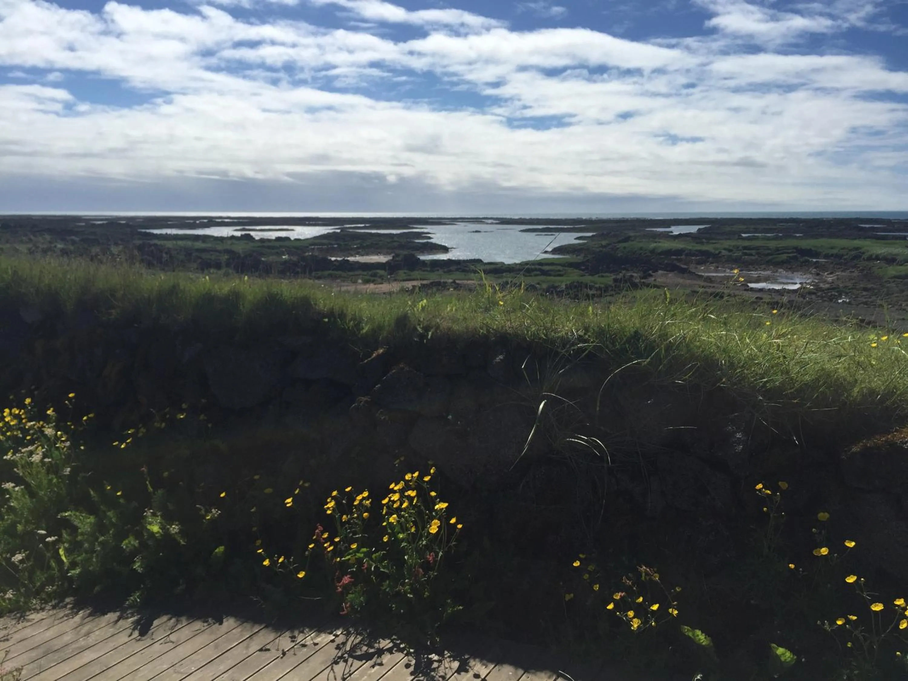 Ocean Beach Apartments