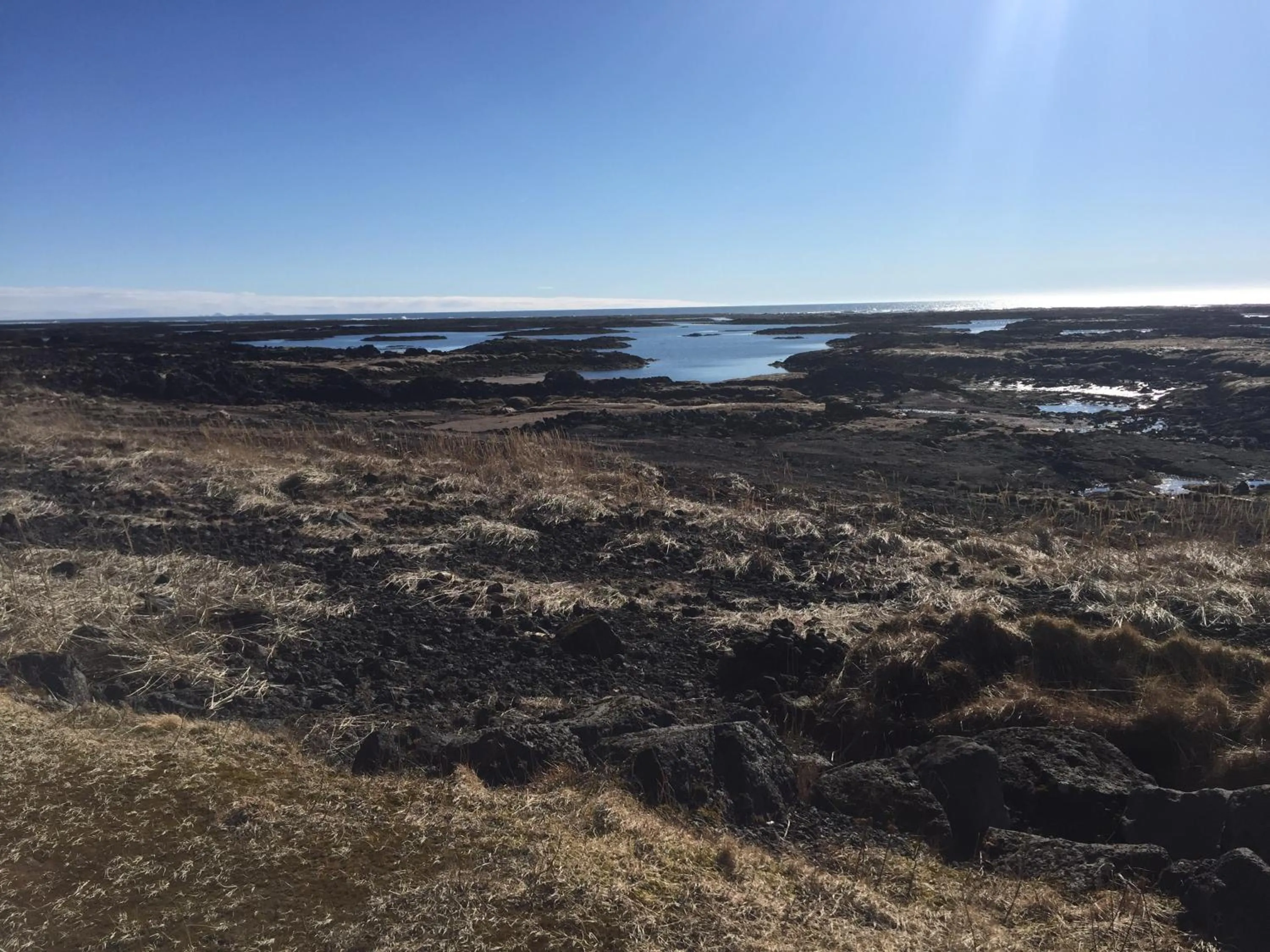 Ocean Beach Apartments