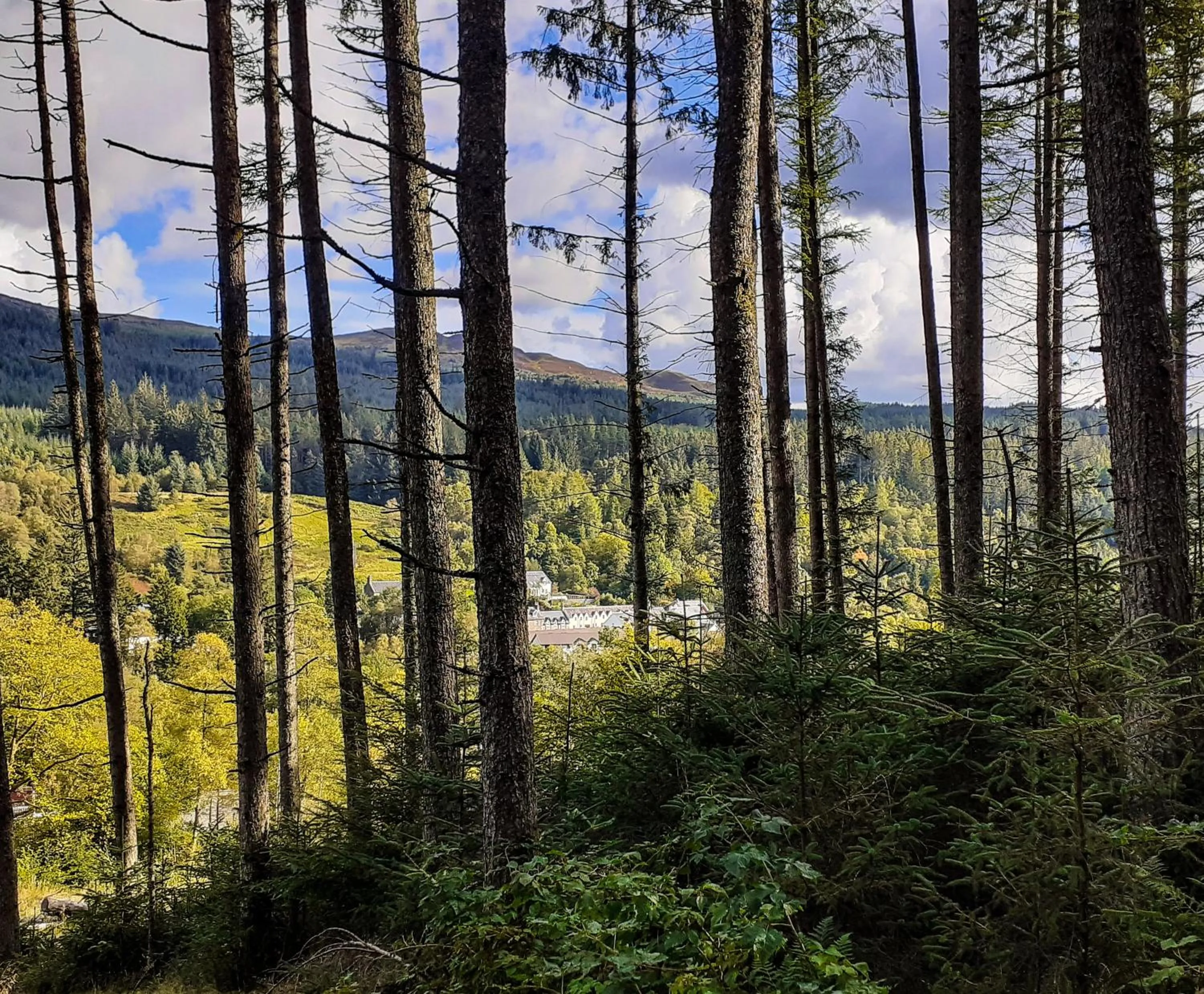 Neighbourhood in The White Stag Inn