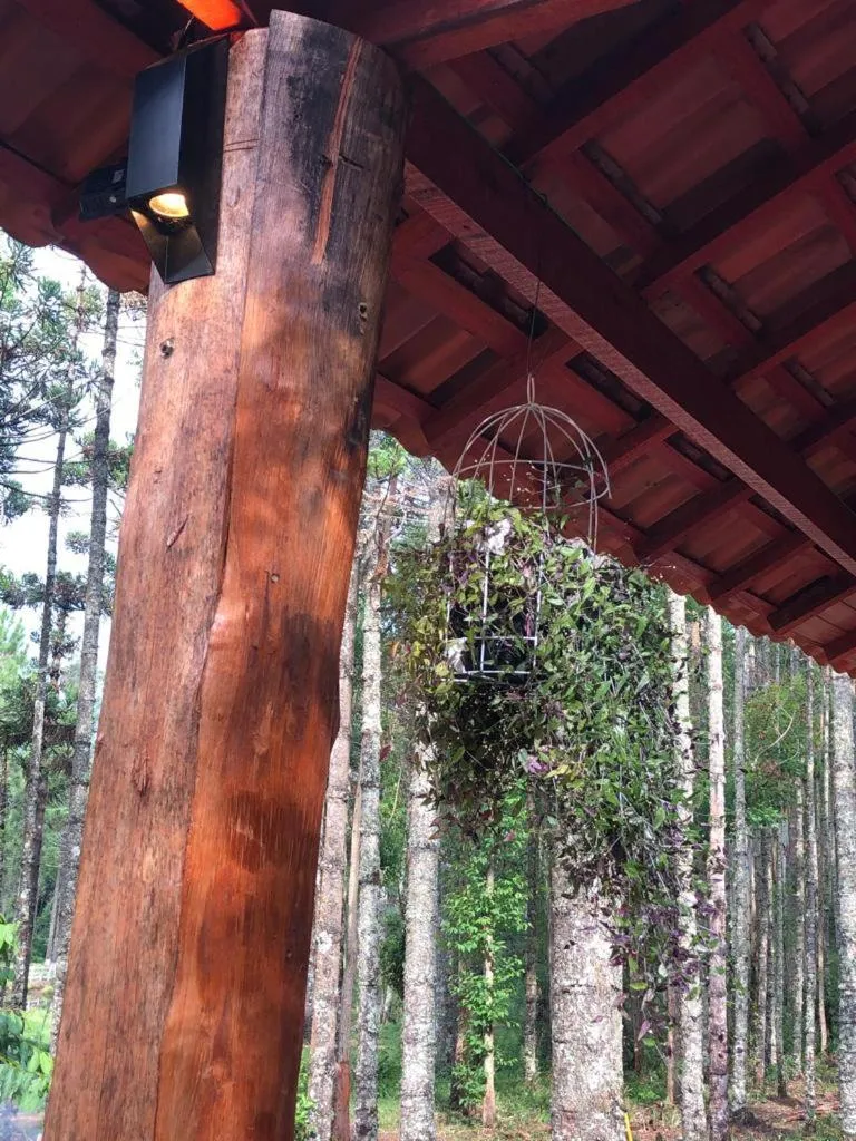 Garden view in Pousada Chalés da Lua