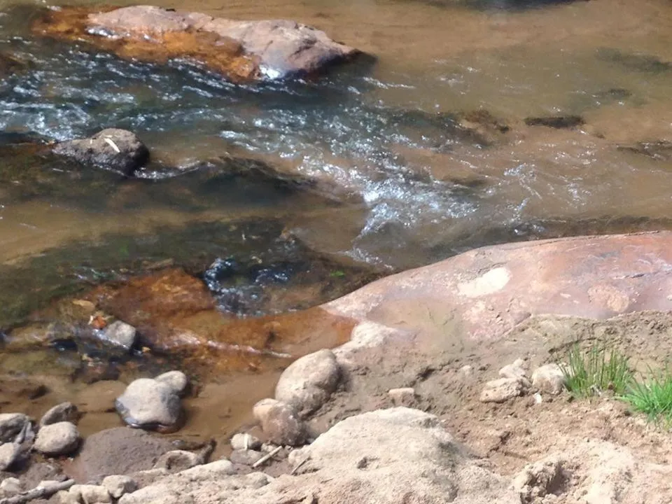Garden in Pousada Chalés da Lua