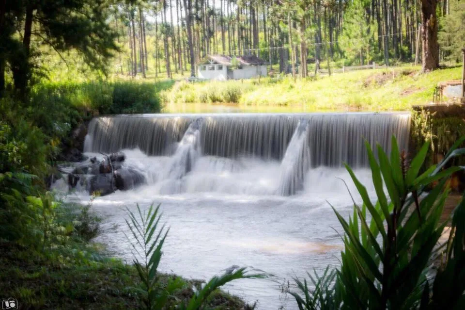 Garden in Pousada Chalés da Lua