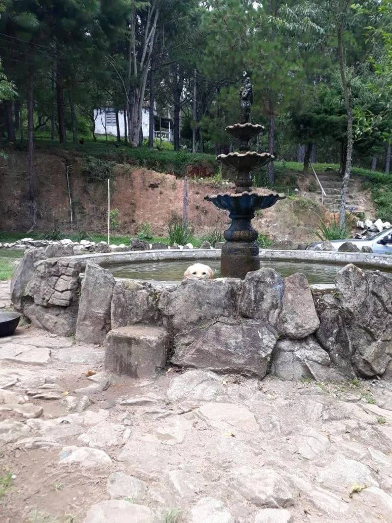 Day in Pousada Chalés da Lua