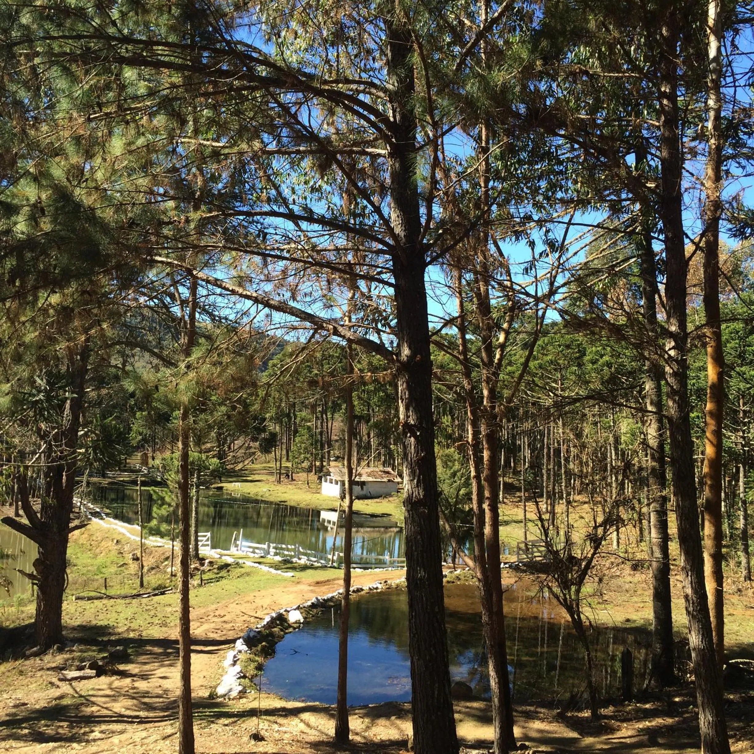 Day in Pousada Chalés da Lua