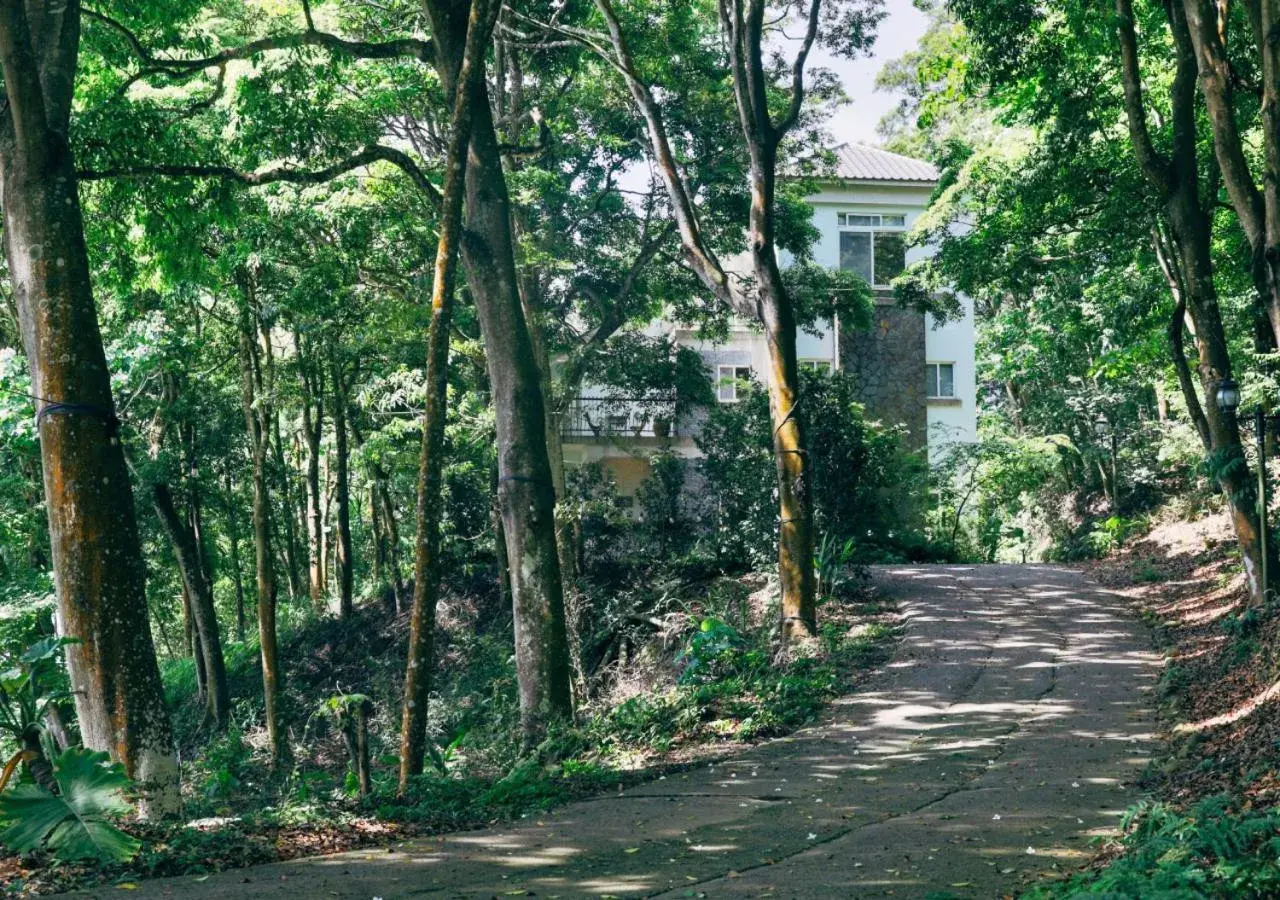 Green Wave Sanyi BY REINDEER Green Wave Sanyi BY REINDEER