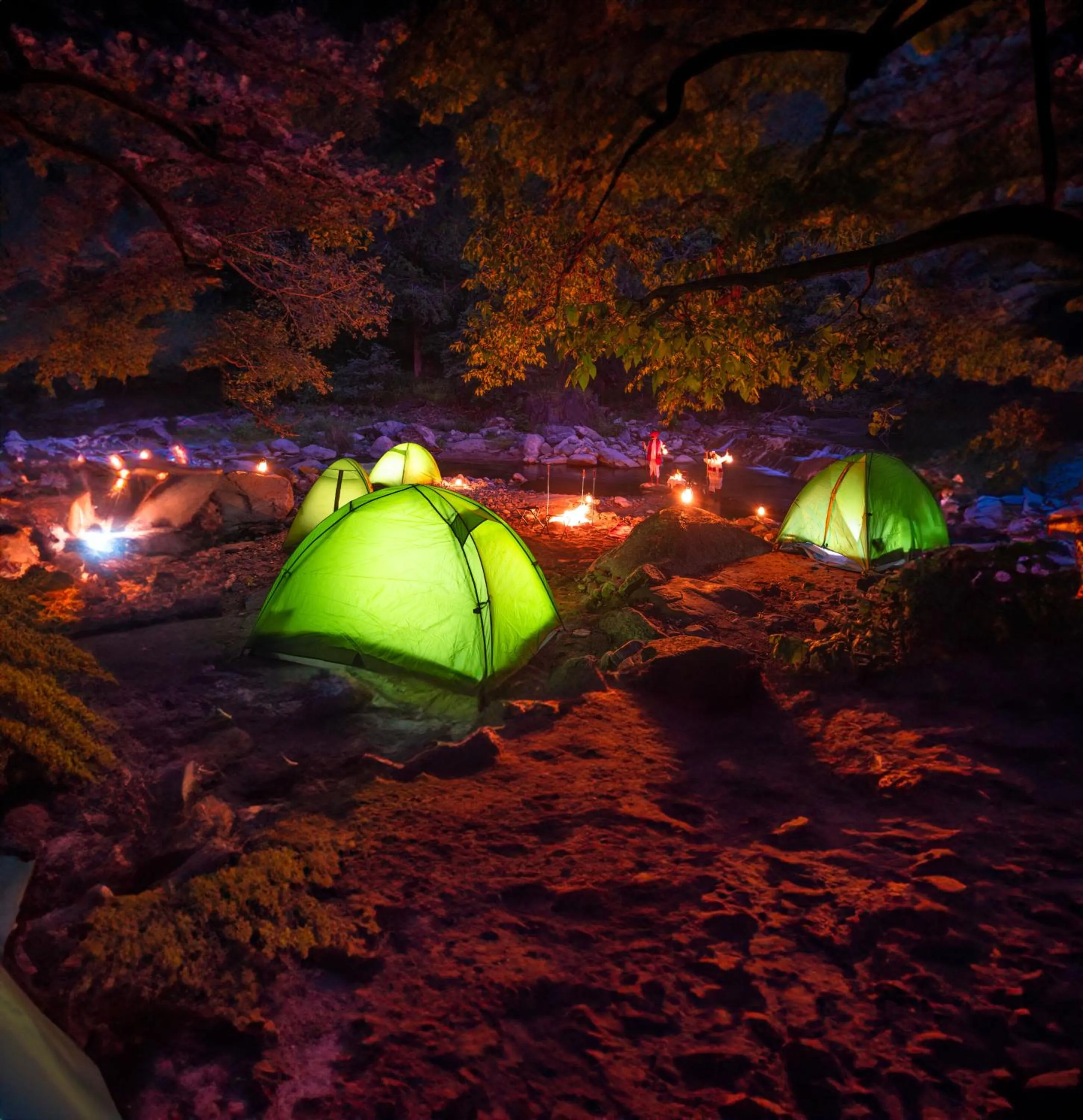 Activities in Ranakpur Safari Resort