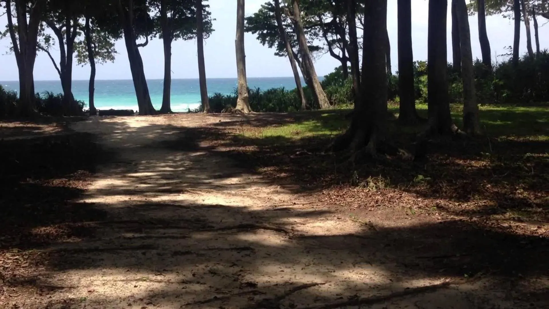 Natural landscape in The Barefoot At Havelock