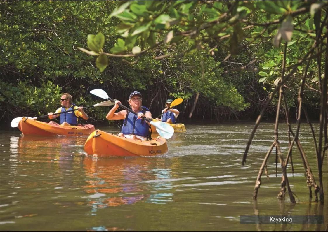 The Barefoot At Havelock