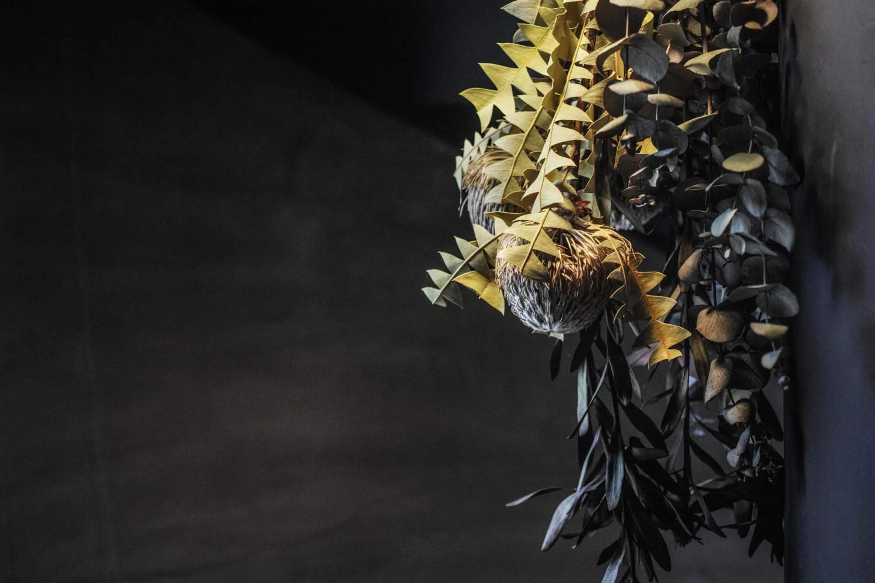 Lobby or reception in sararaso