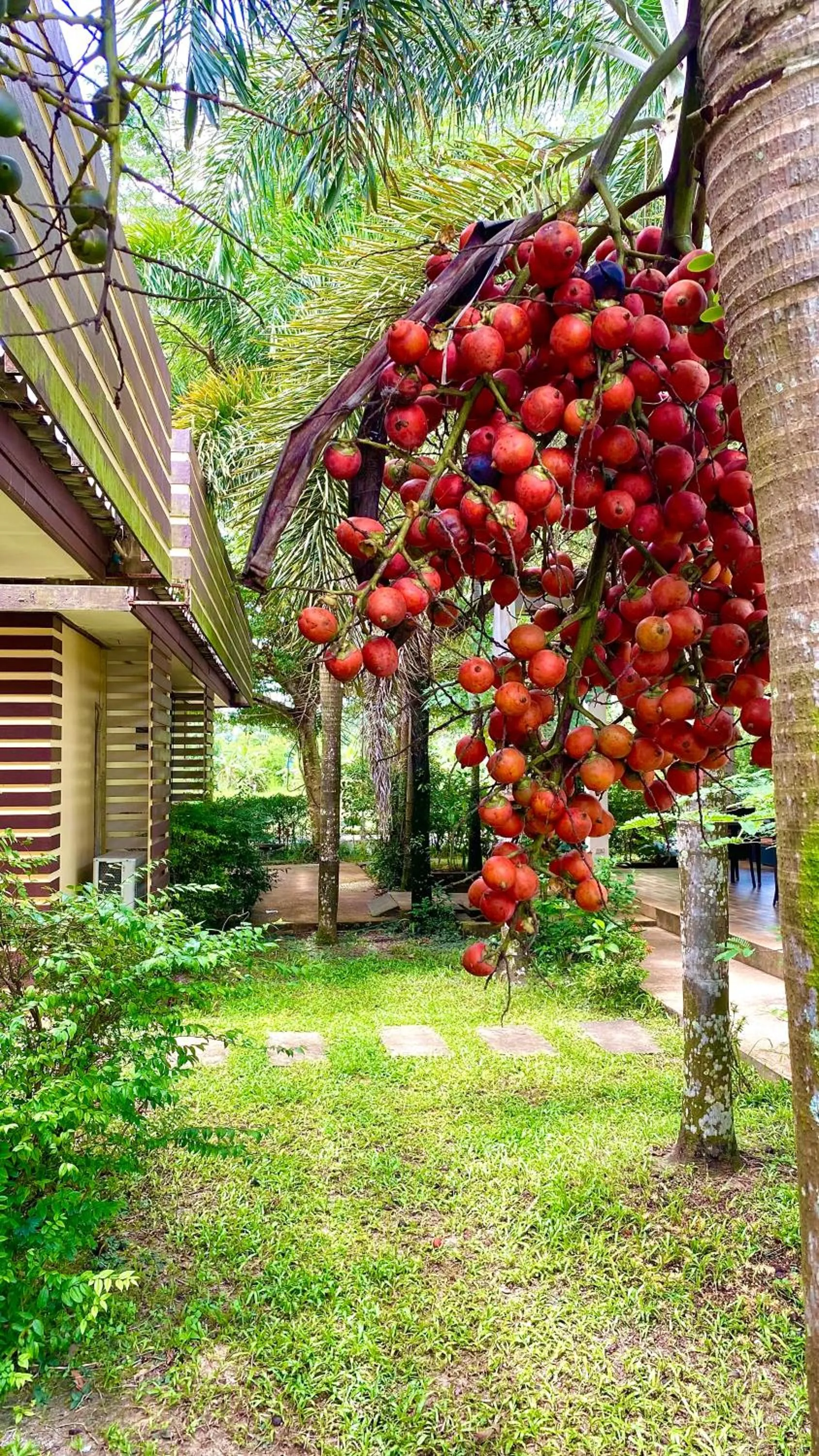 Garden in Kuapa Resort