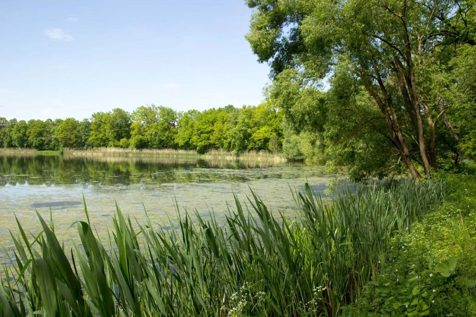 Area and facilities in Best Western Plus Kurhotel an der Obermaintherme