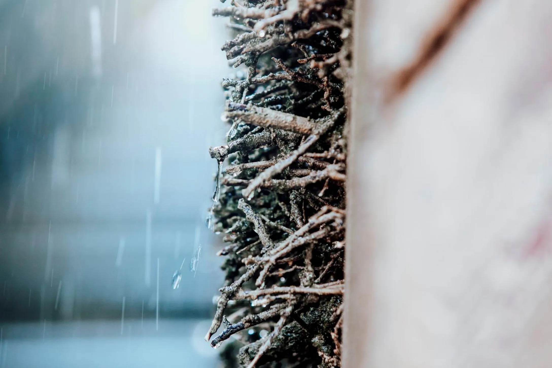 Area and facilities in Best Western Plus Kurhotel an der Obermaintherme