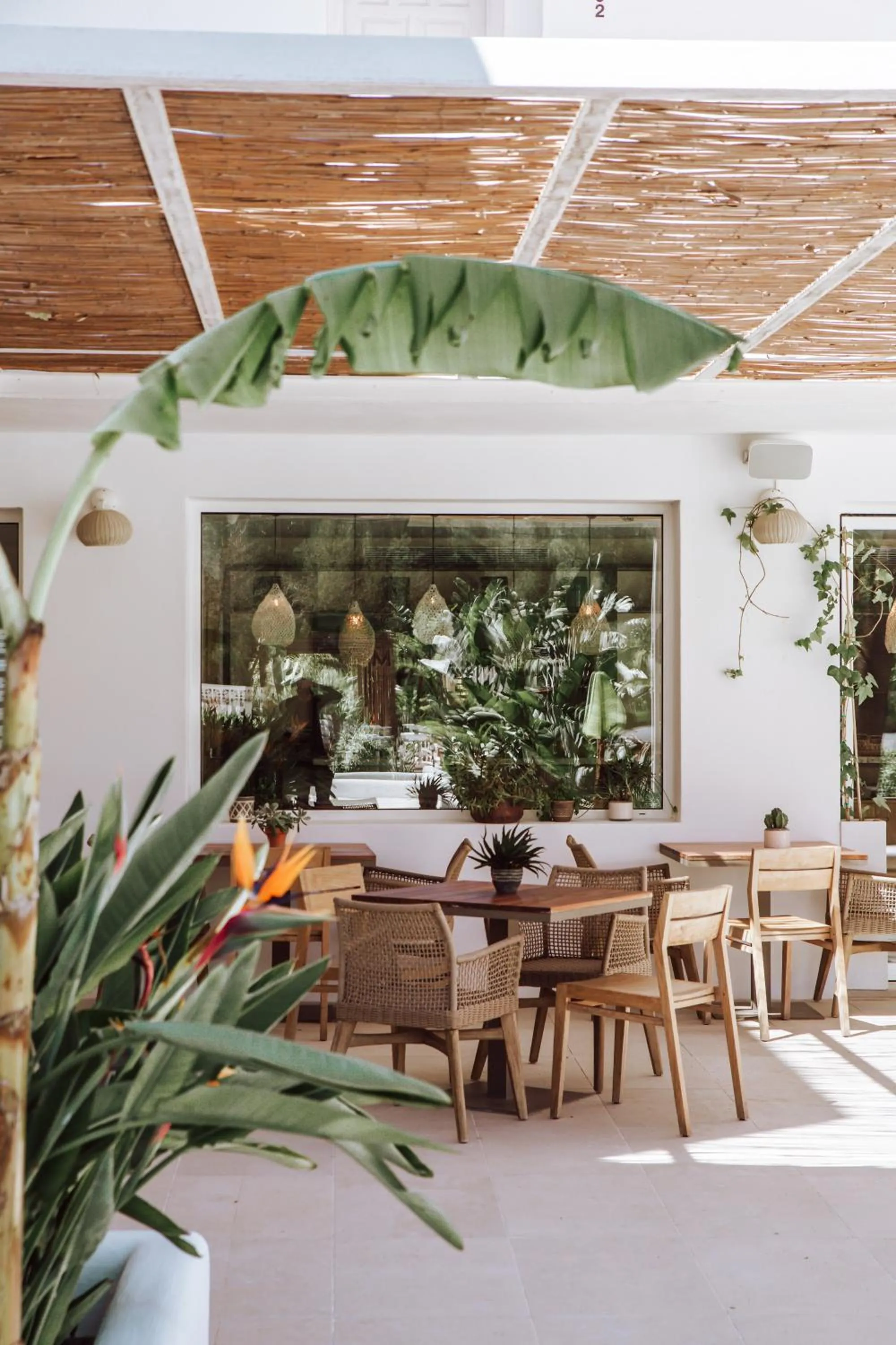 Restaurant/places to eat in Hotel Boutique & Spa Las Mimosas Ibiza