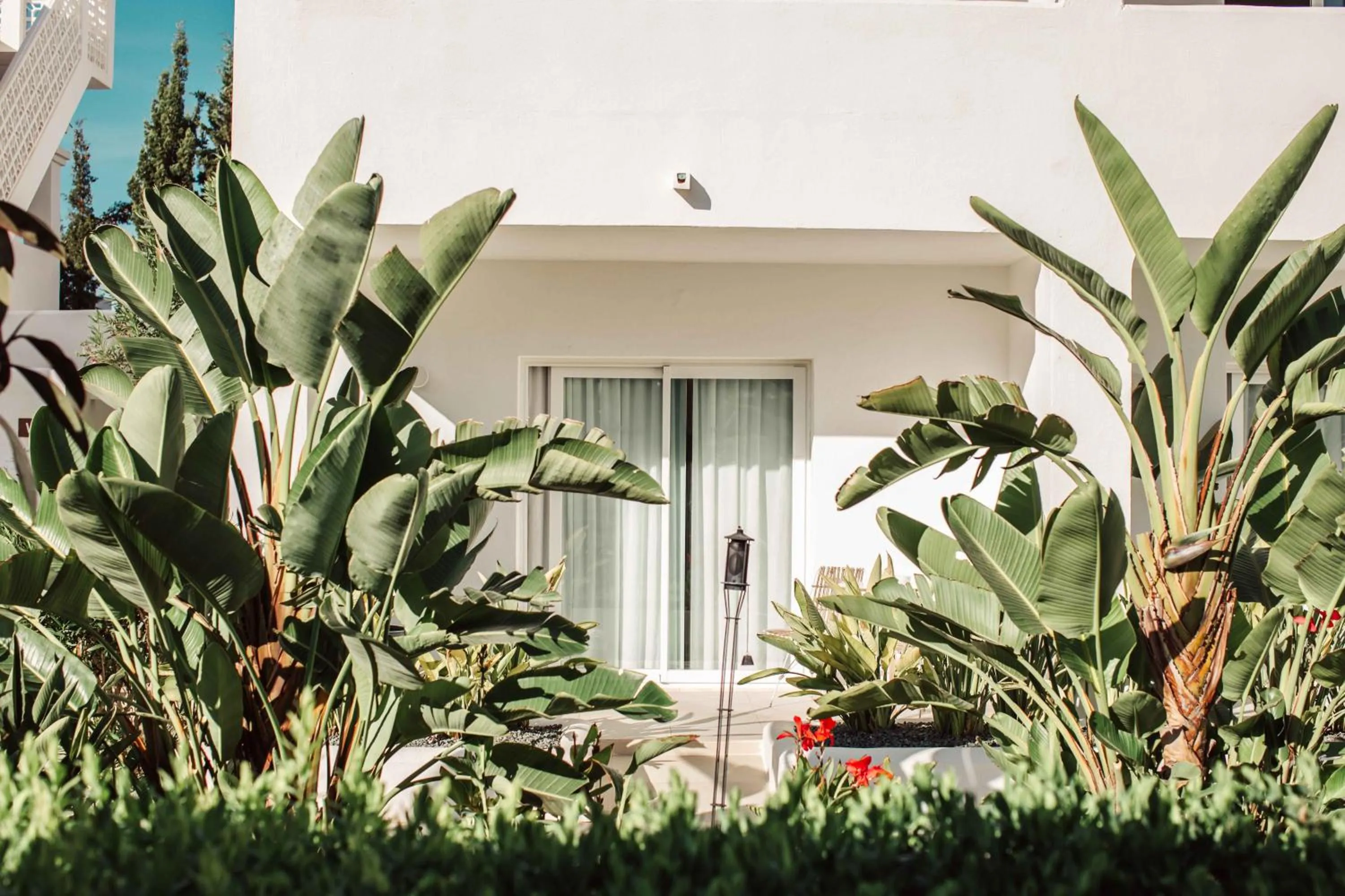 Garden in Hotel Boutique & Spa Las Mimosas Ibiza