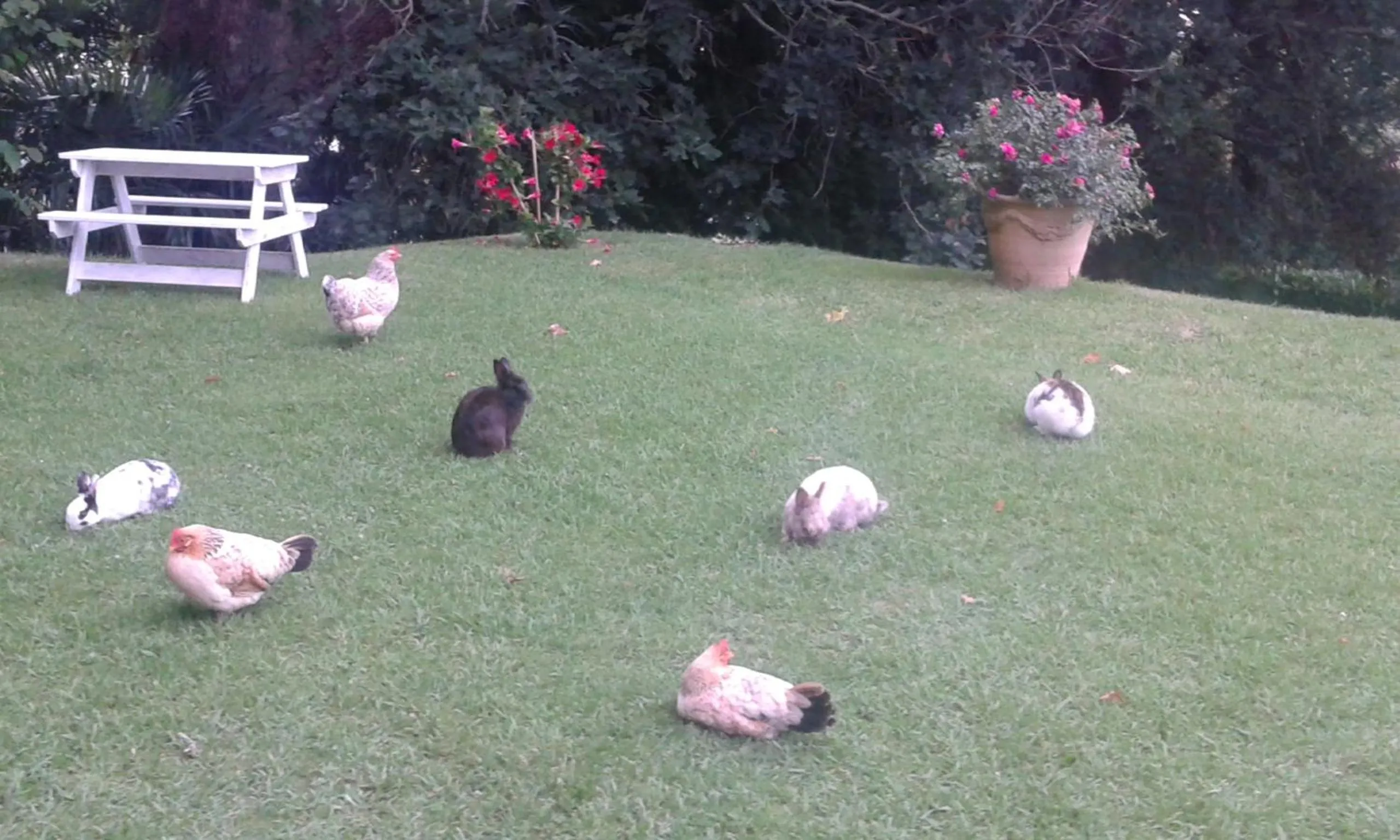 Garden in Villa La Croix Basque