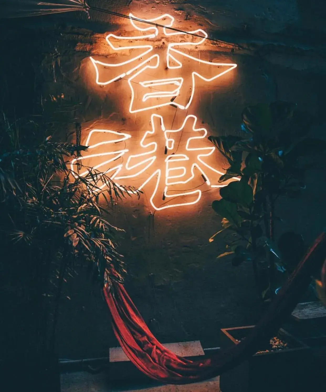 Wontonmeen Wontonmeen