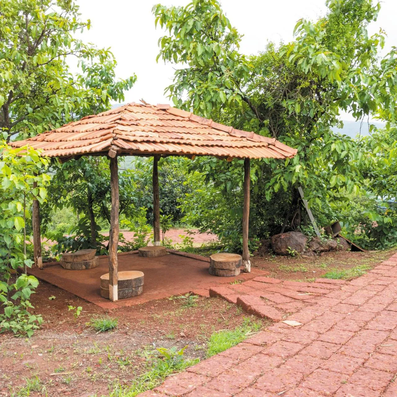 Garden in Forest Escapes Koyna