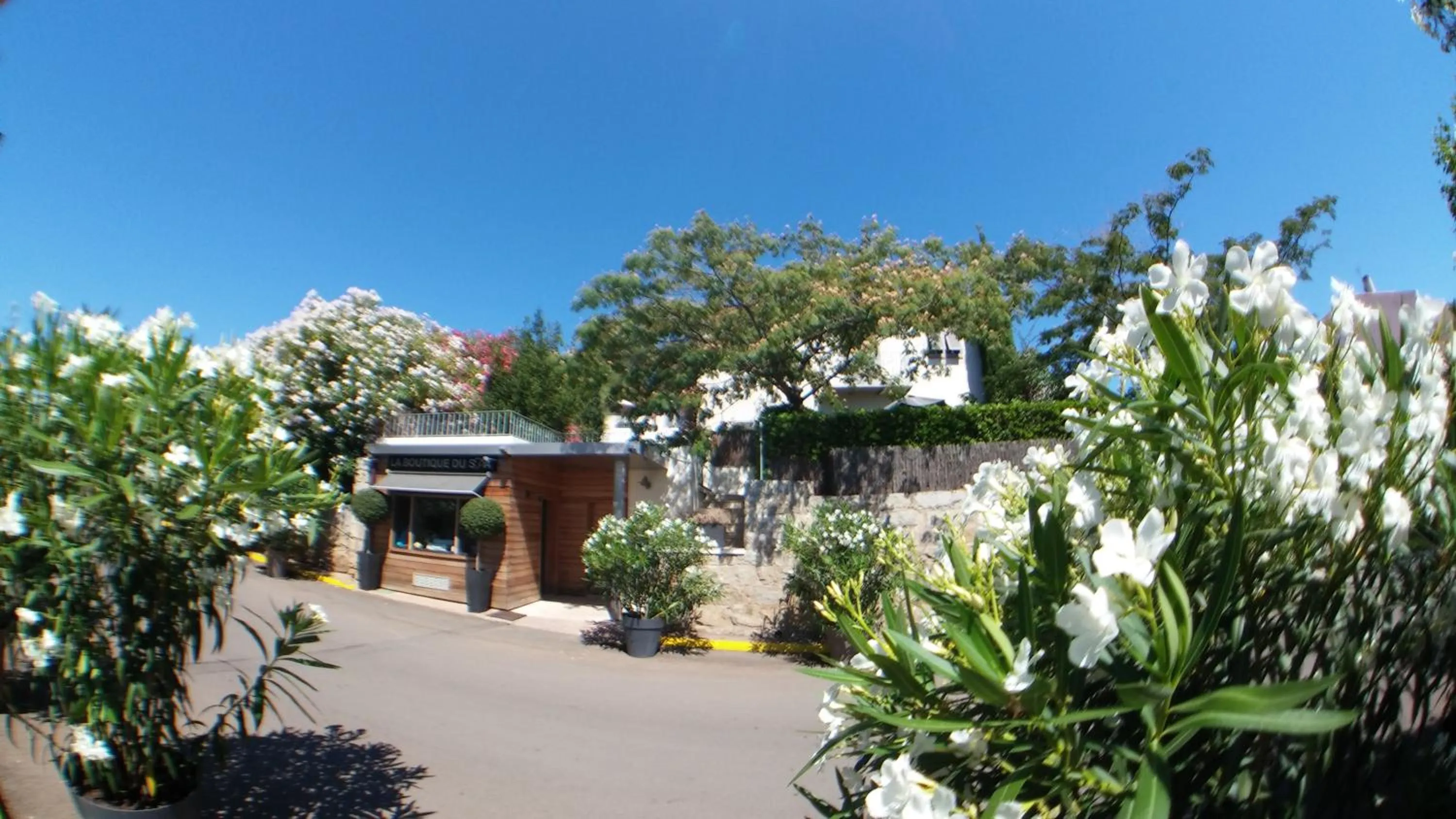 Other in Le Pinarello