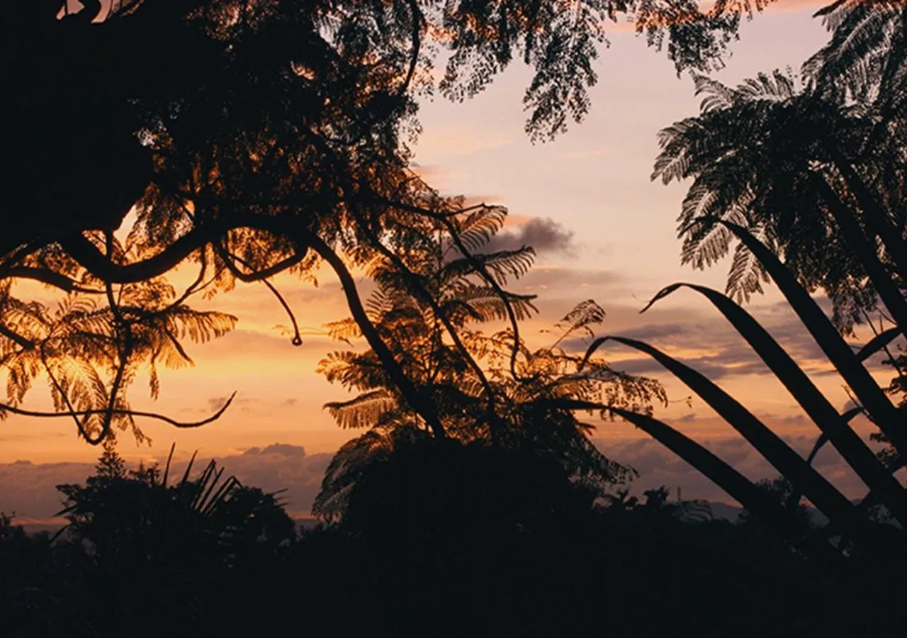 Kampala Forest Resort - KFR Lodge