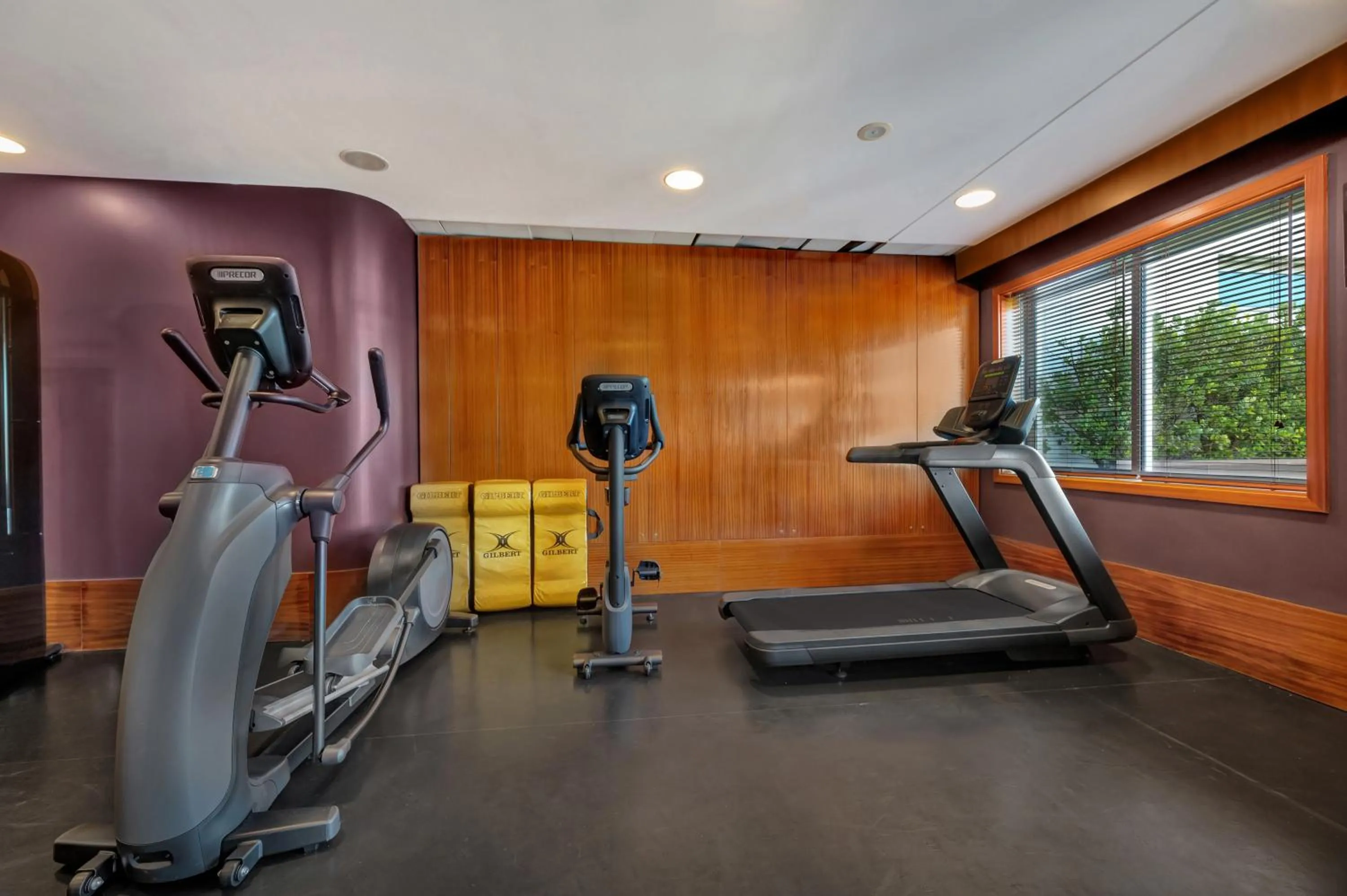 Fitness centre/facilities in Gaia Residence