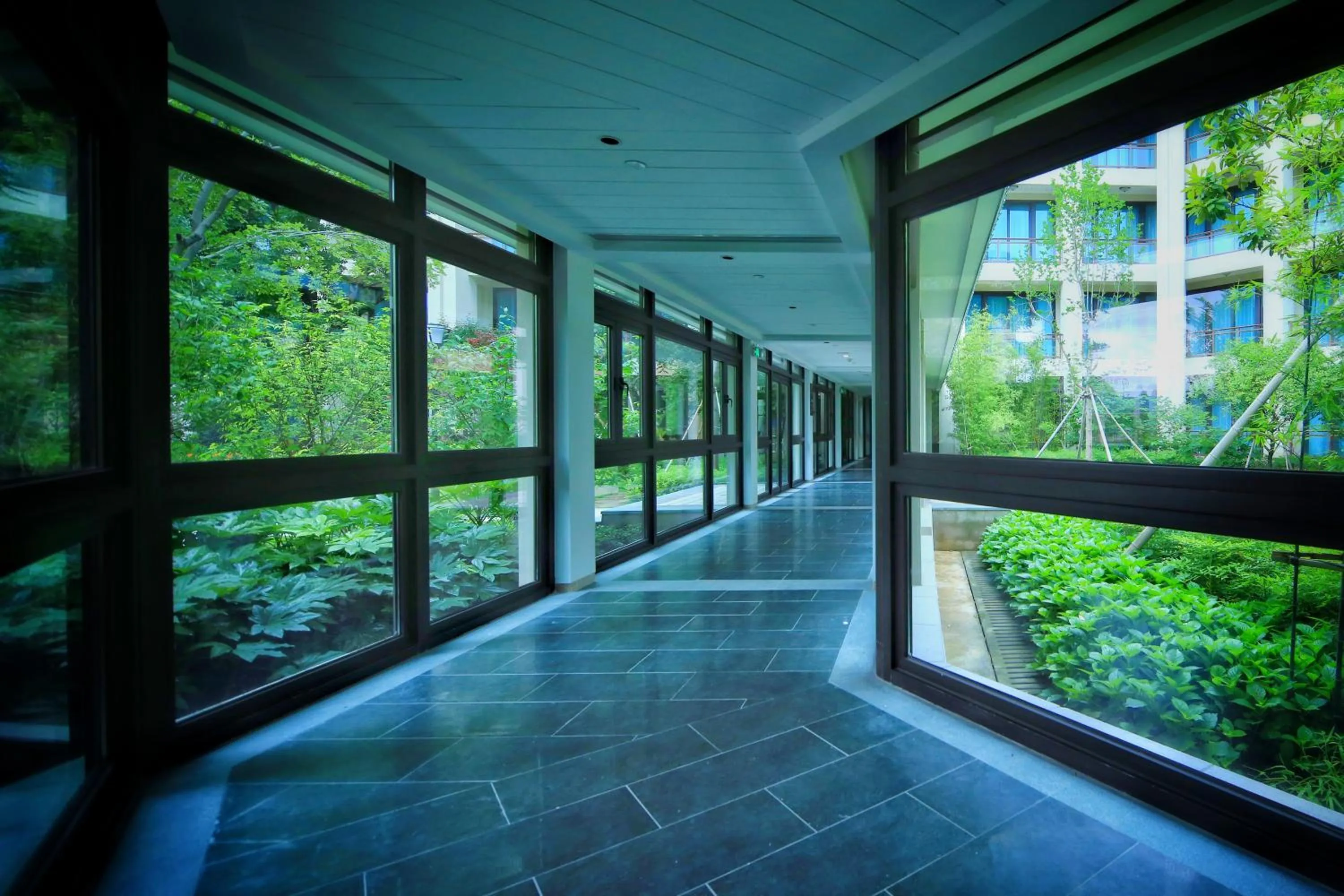 Garden in C&D Resort,Wuyi Mountain