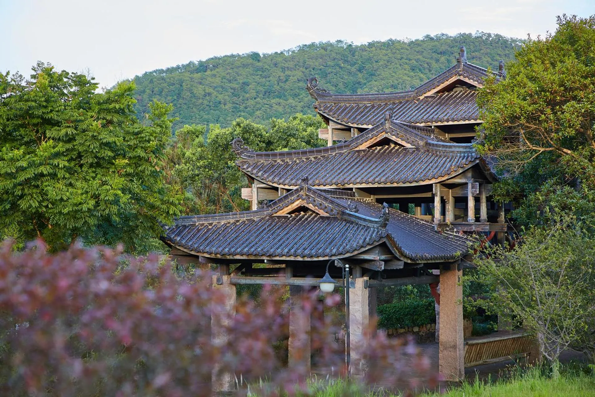 Off site in Dahongpao Resort