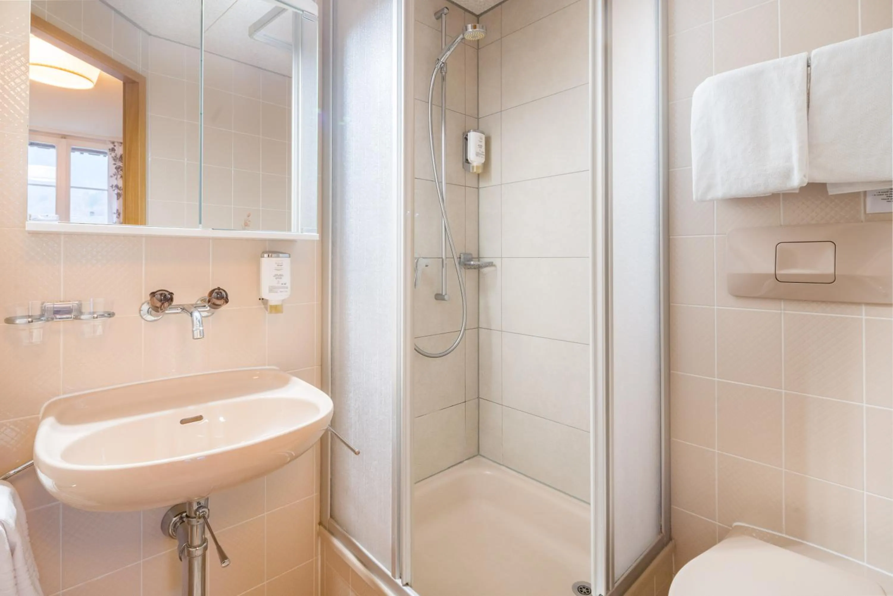 Bathroom in Alpenrose Hotel and Gardens