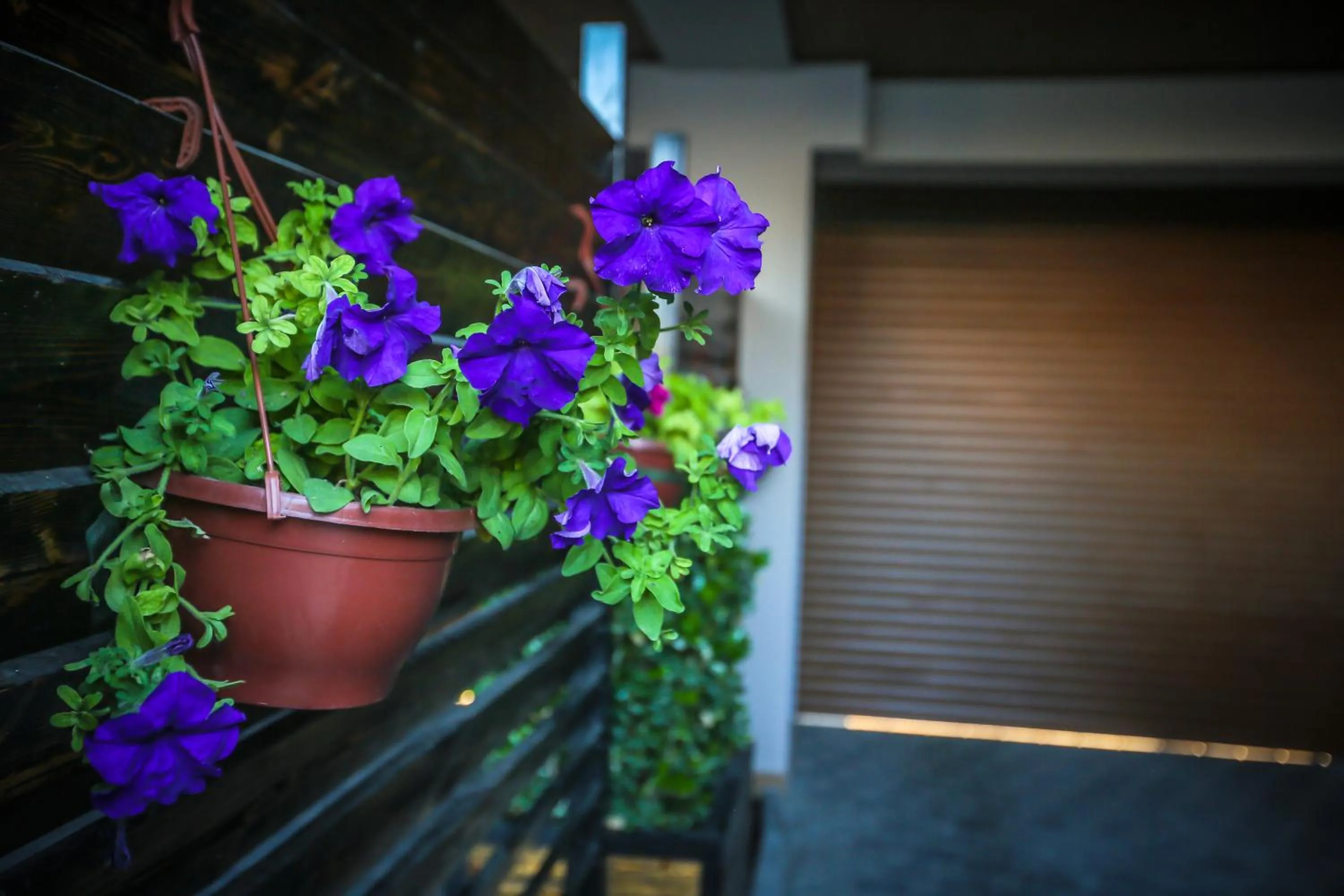 Facade/entrance in Armada Villa Hotel