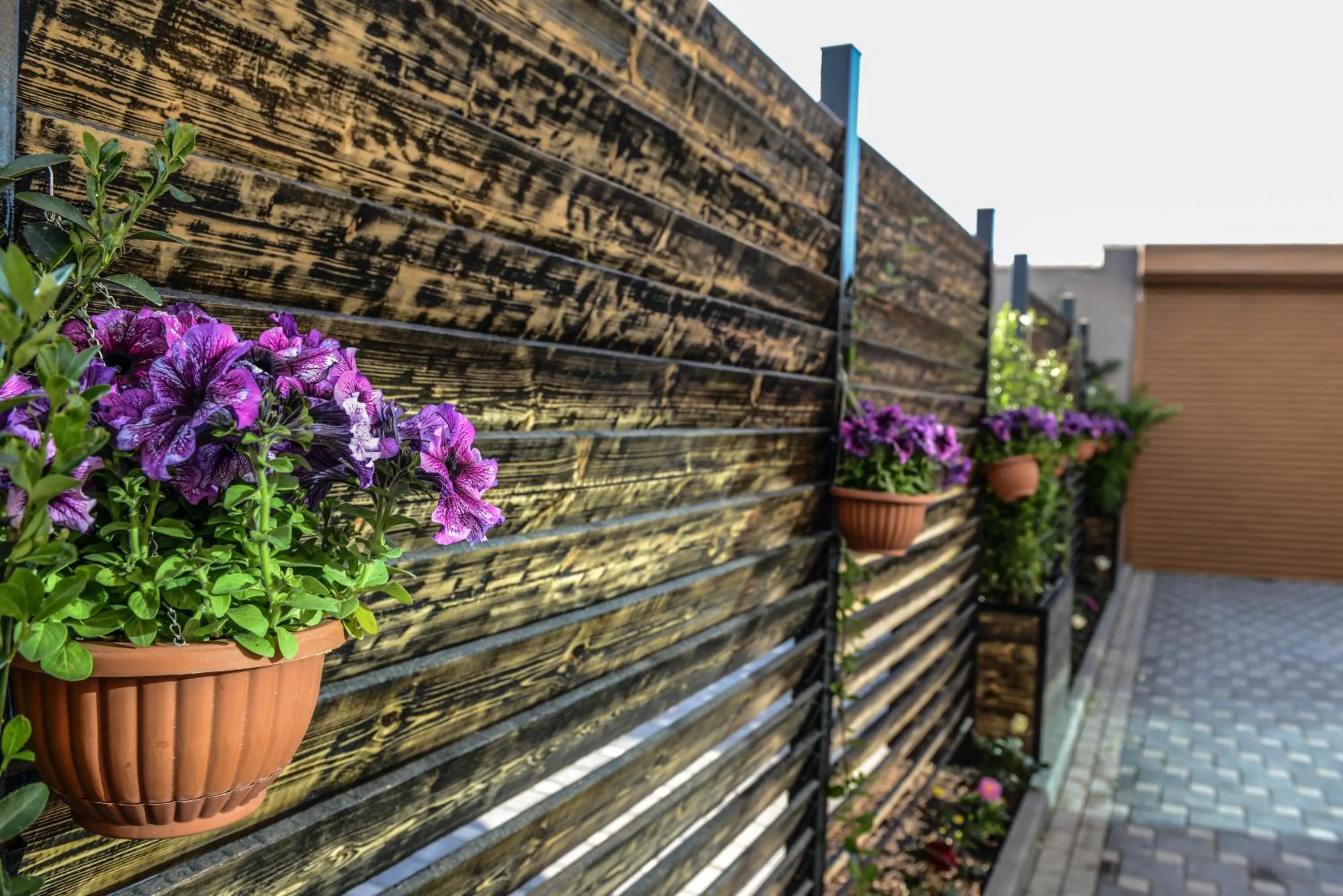 Garden in Armada Villa Hotel