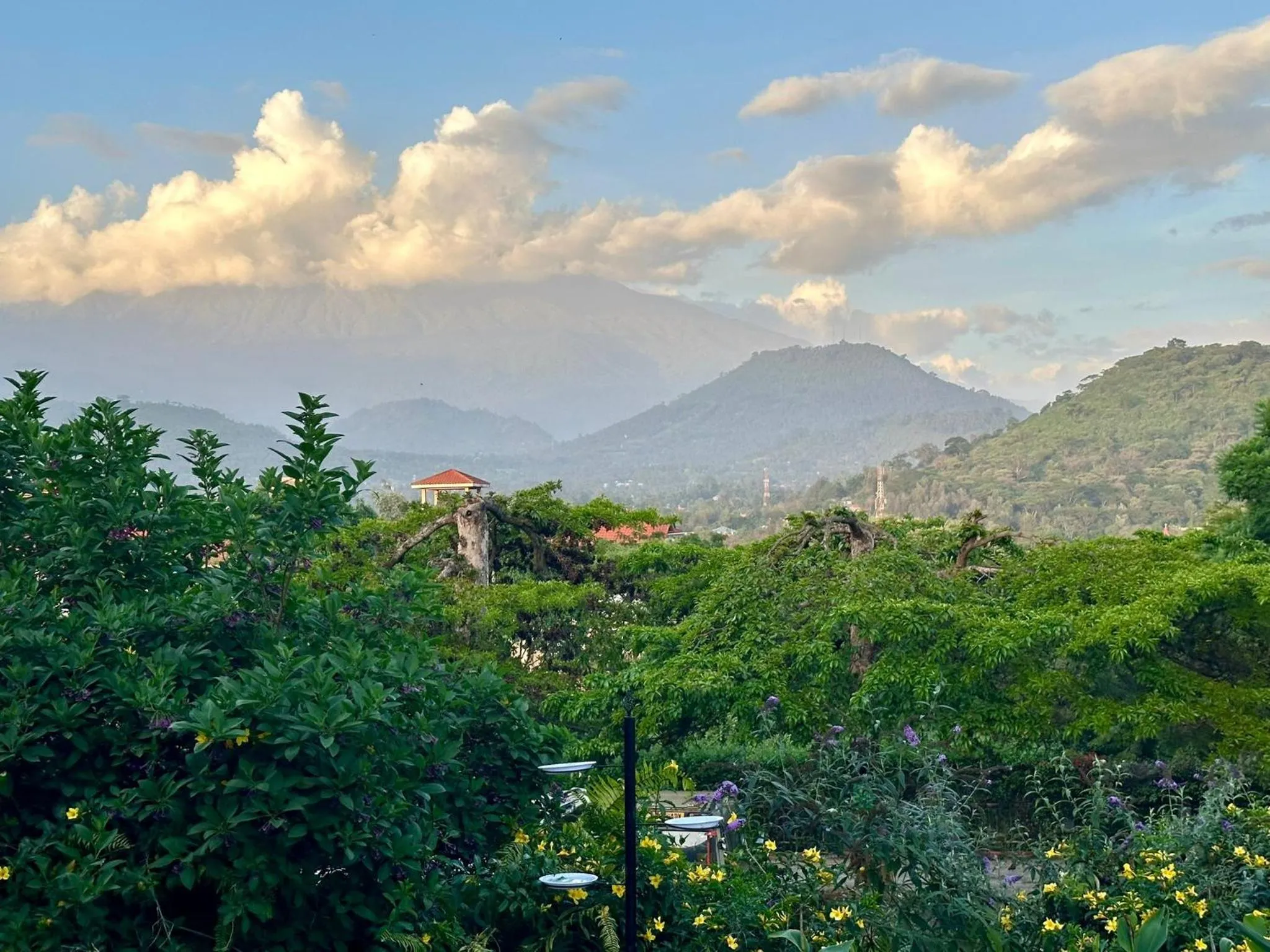 Boulevard Inn Mt Meru