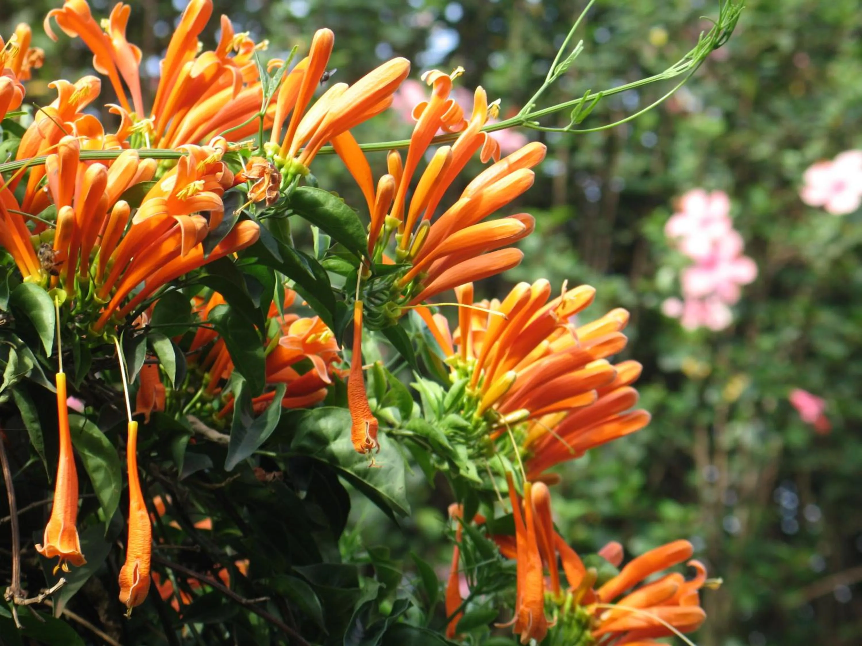 Other in Hotel Le Garni