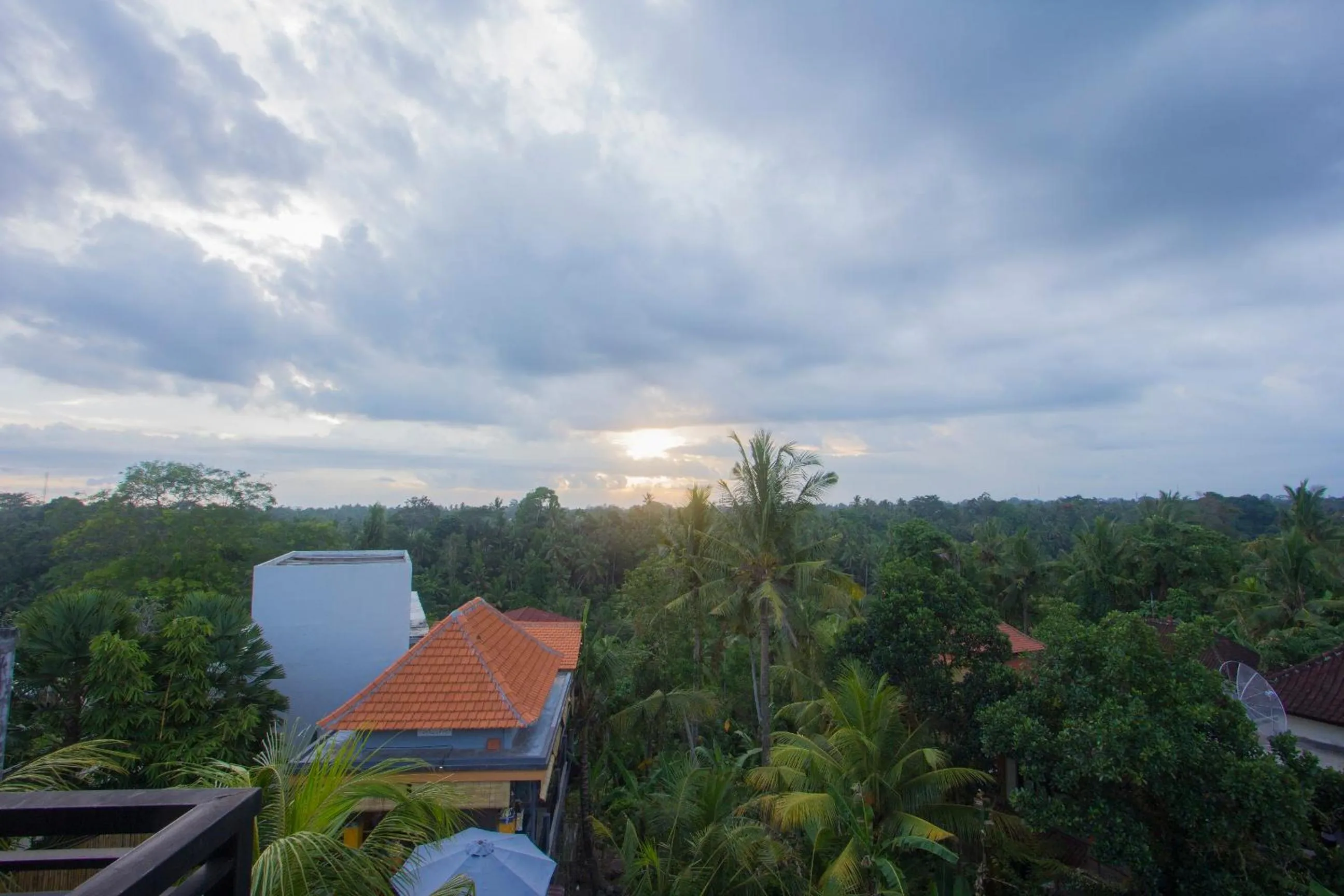 Garden view in Adi Bisma Inn by Mahaputra