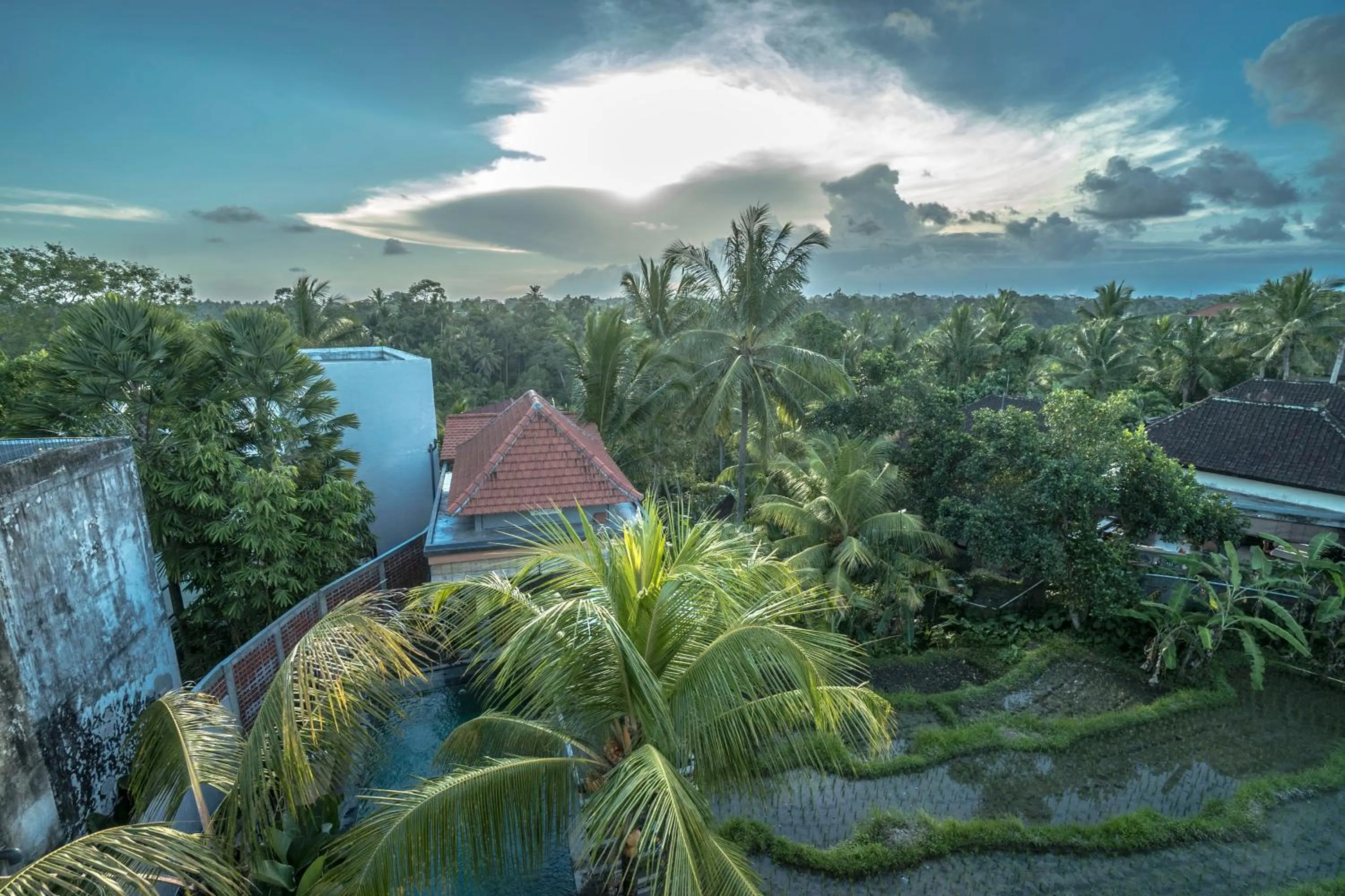 Natural landscape in Adi Bisma Inn by Mahaputra