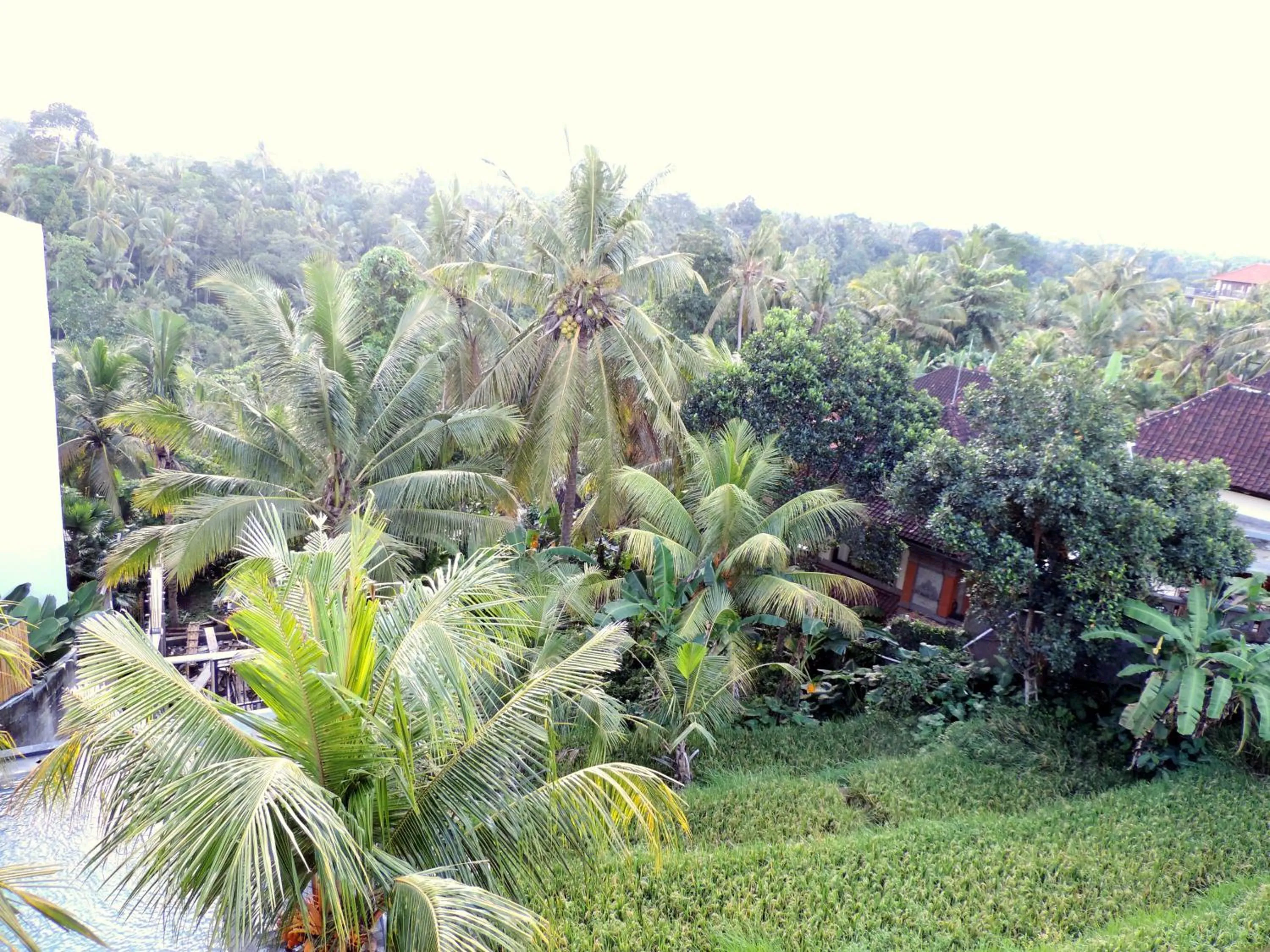 Mountain view in Adi Bisma Inn by Mahaputra