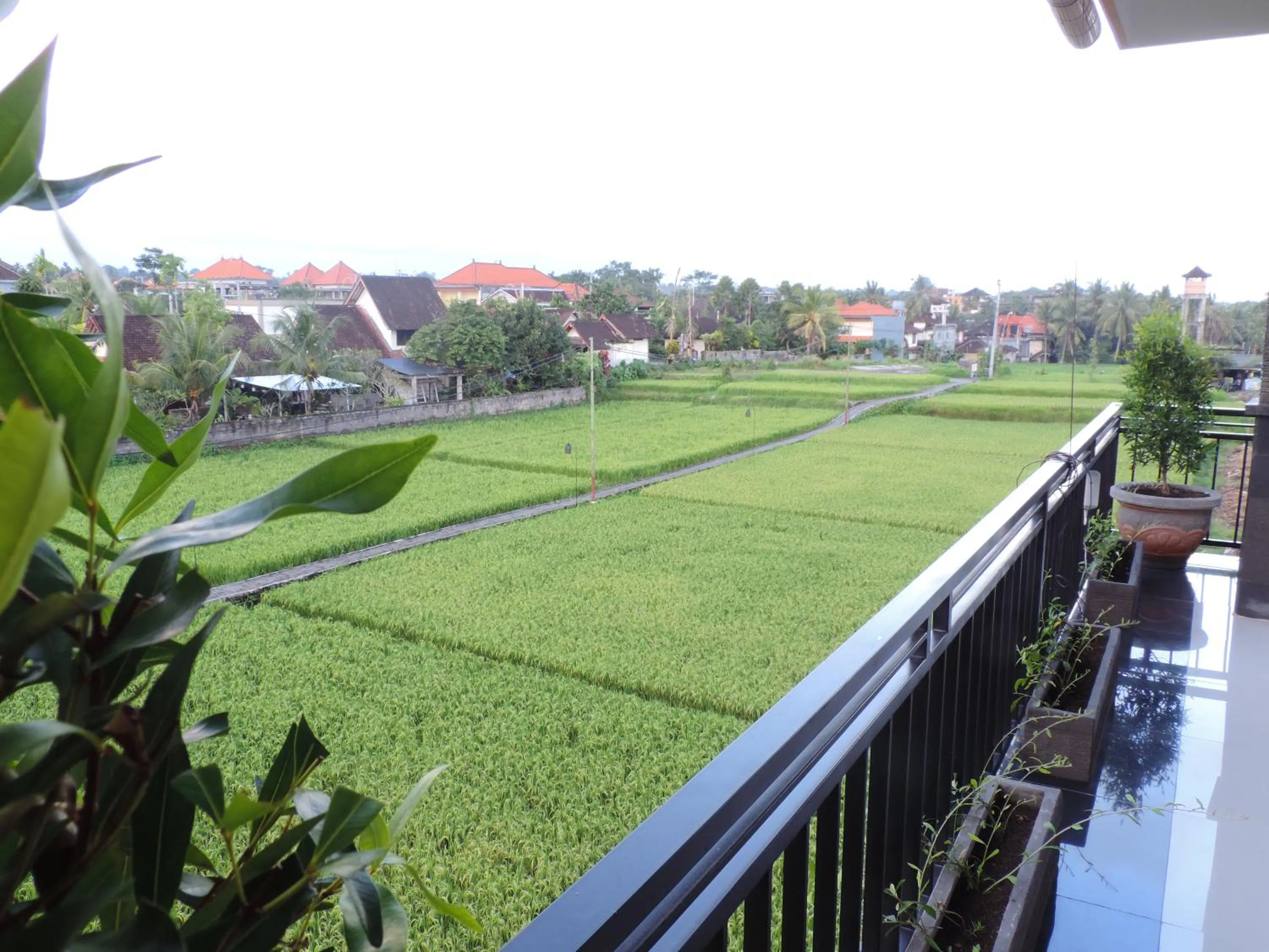 Garden view in Adi Bisma Inn by Mahaputra