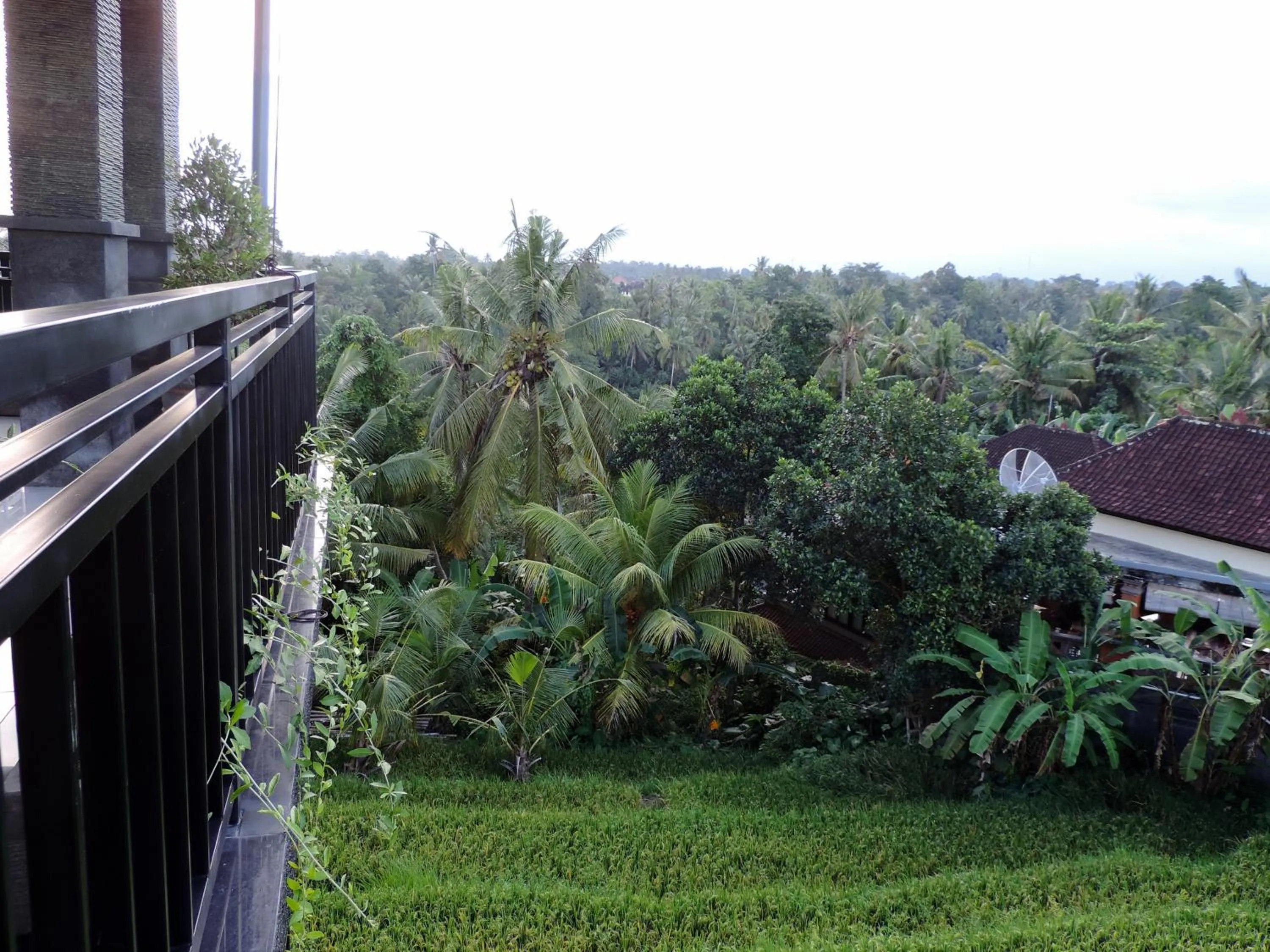 Mountain view in Adi Bisma Inn by Mahaputra
