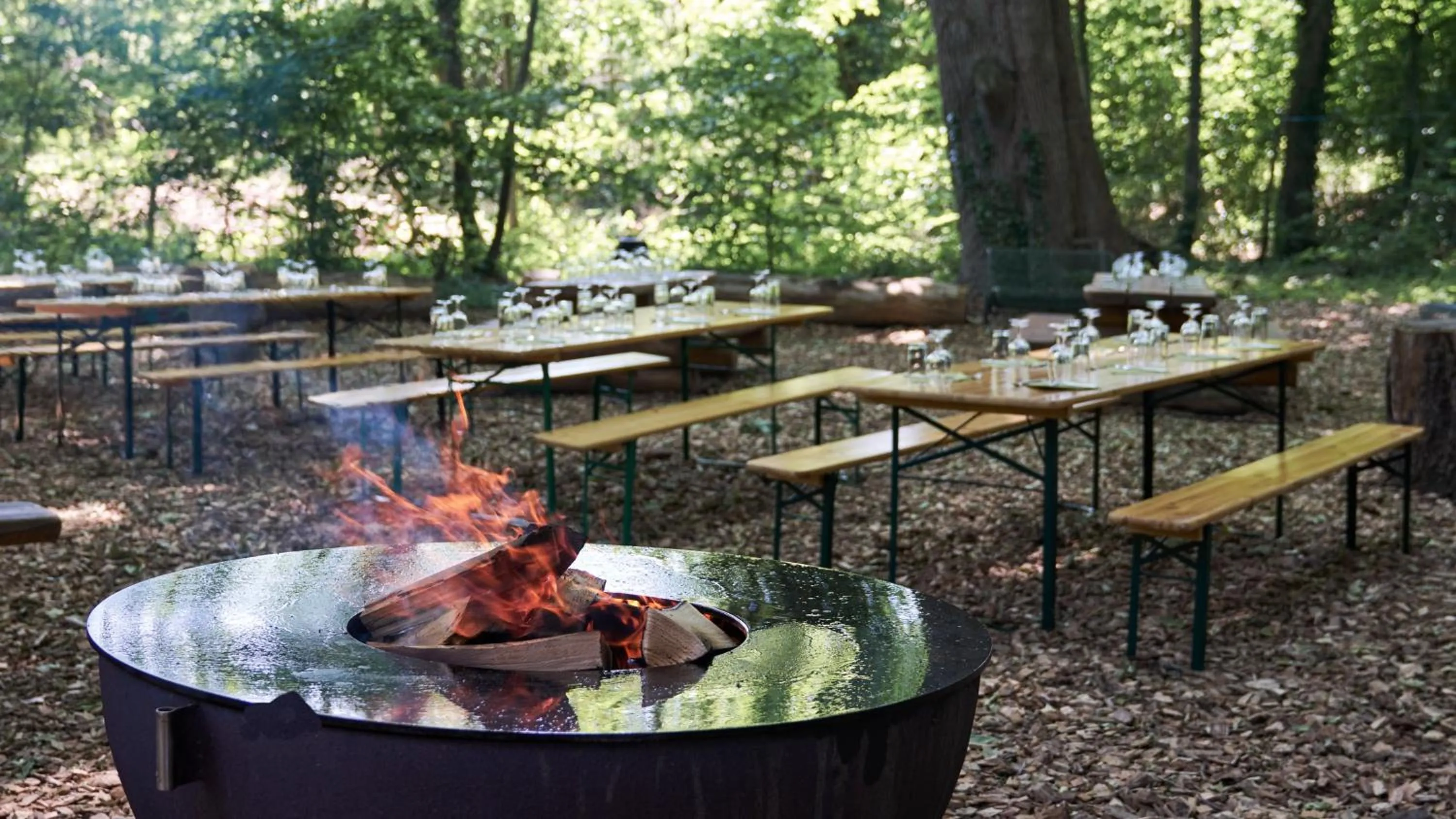 BBQ facilities in Centre Loewenberg