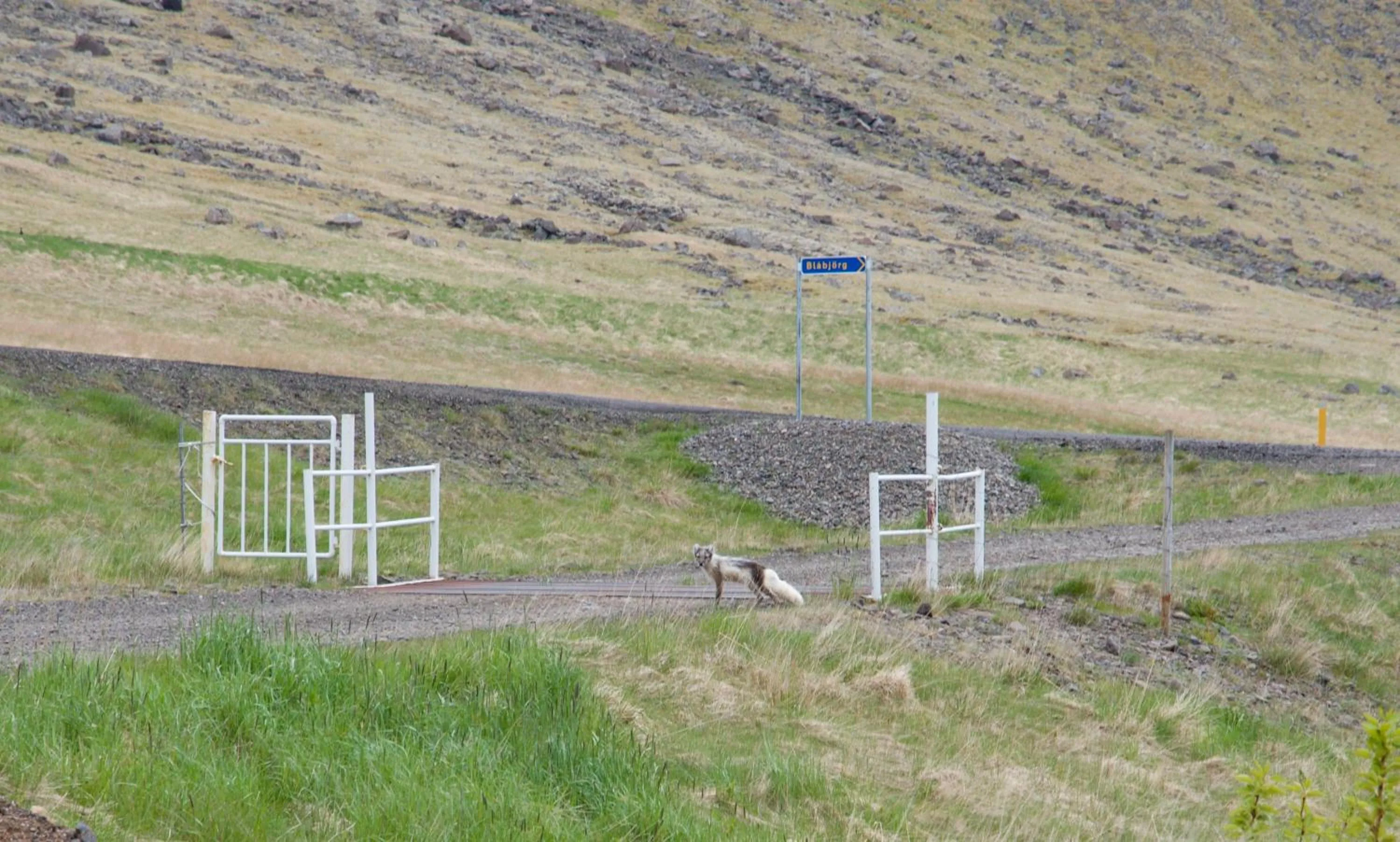 Natural landscape in Krákhamar Apartments