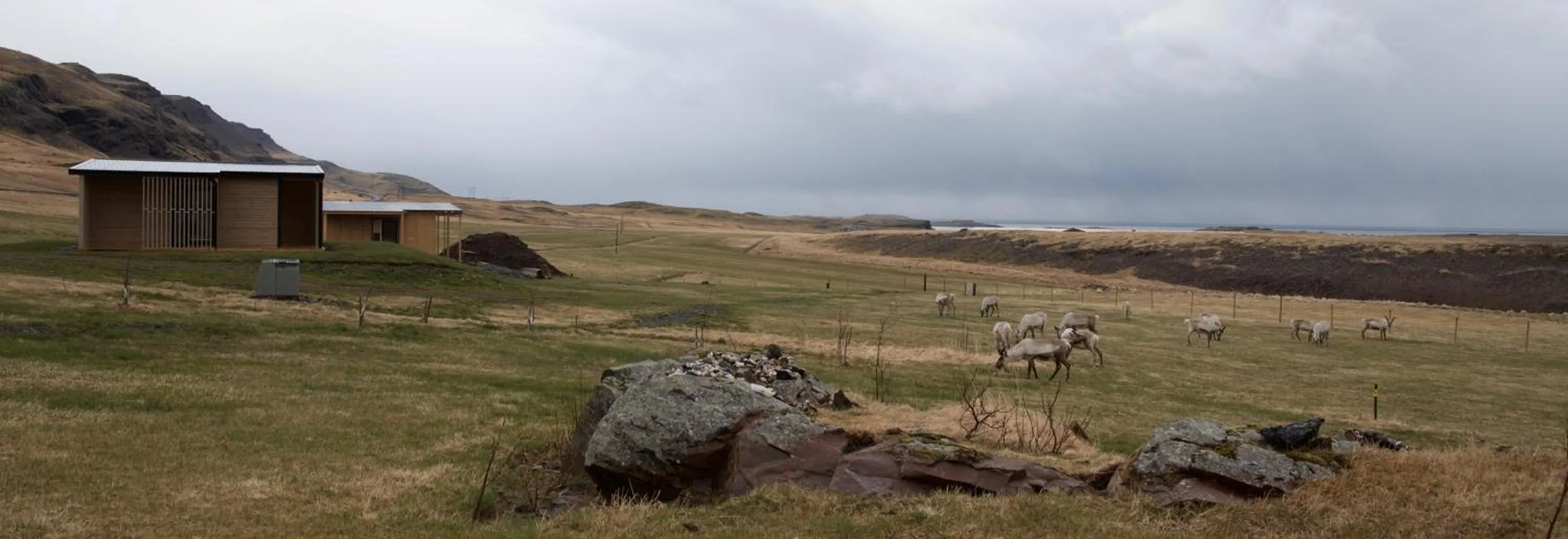 Garden in Krákhamar Apartments
