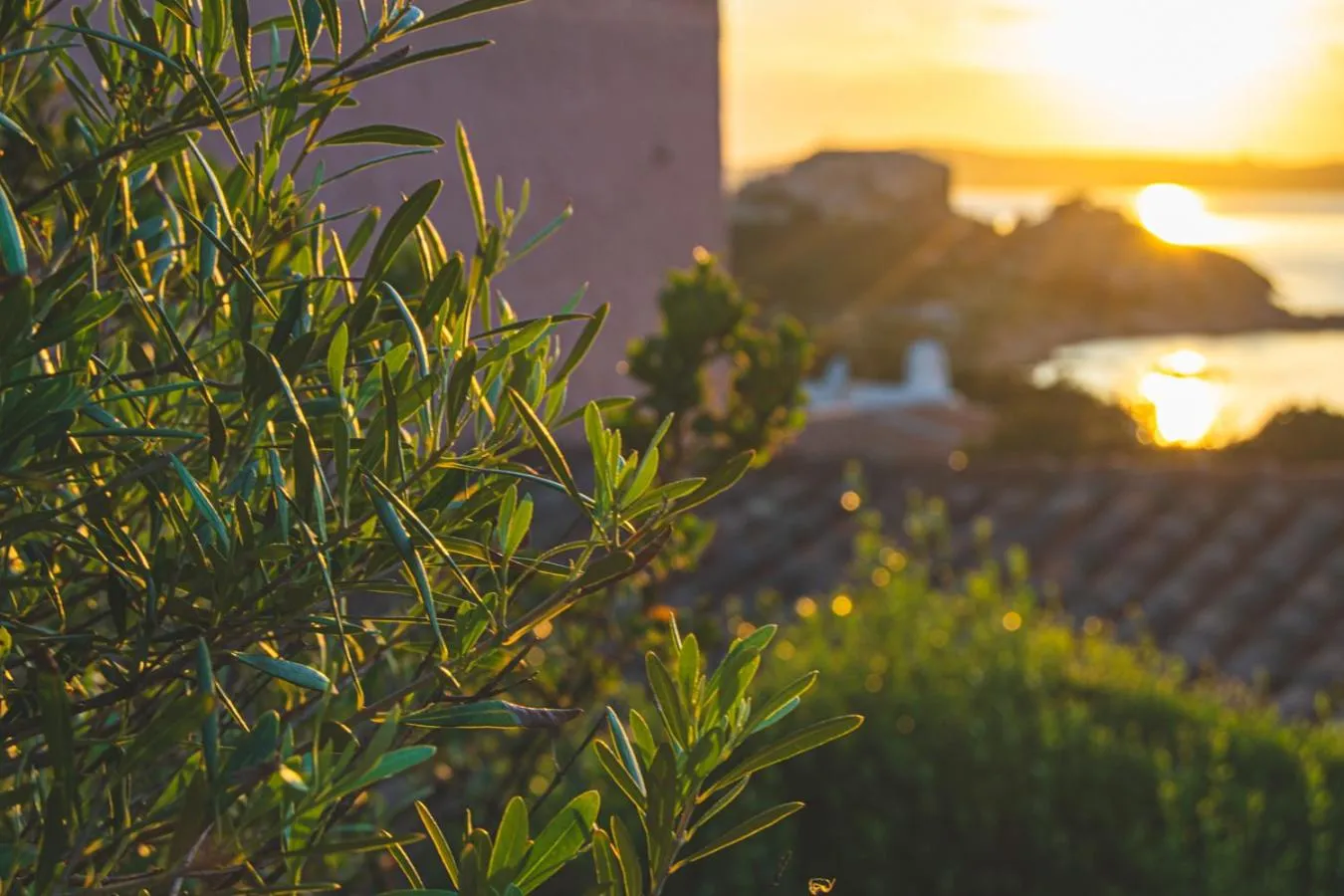 Natural landscape in Residence I Cormorani Bis