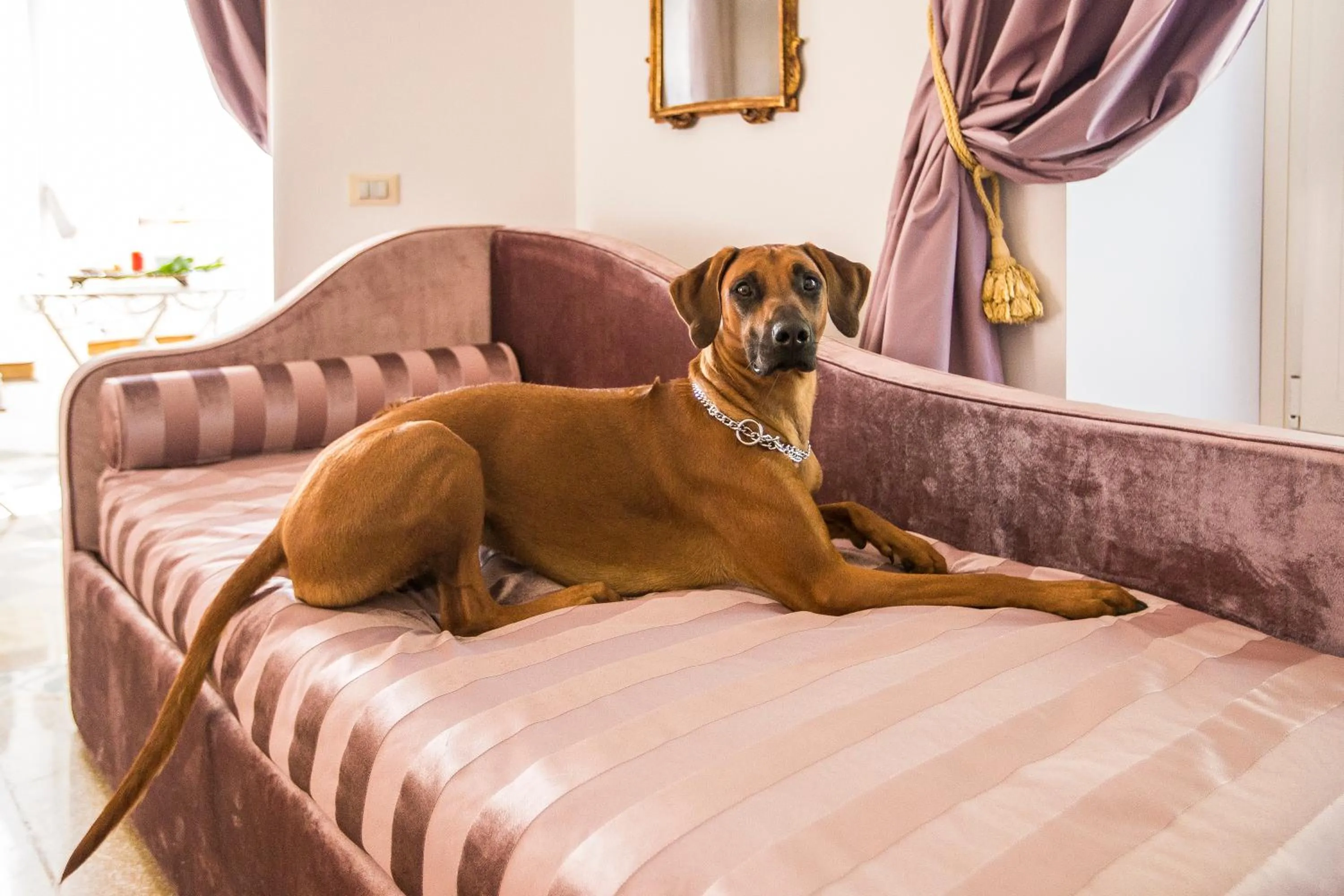 Other in Trastevere Royal Suite