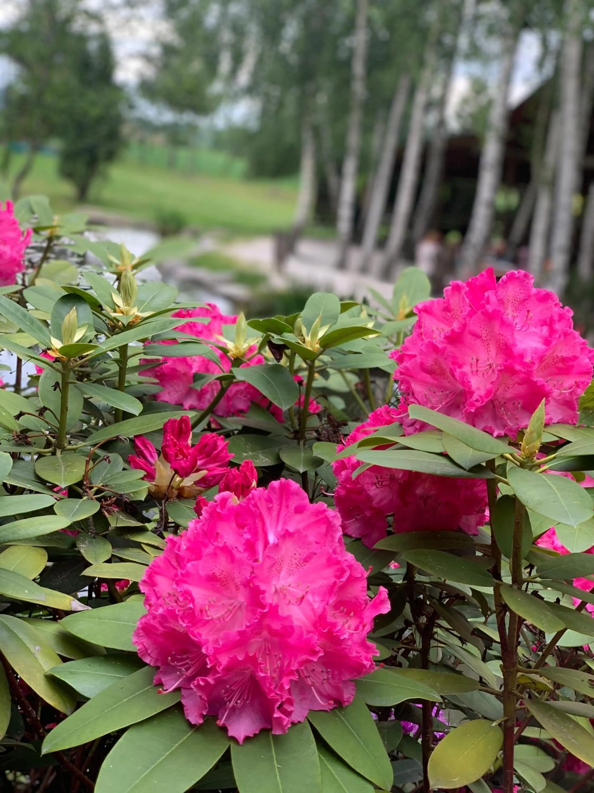 Hotel "Księżyc" w Świebodzicach