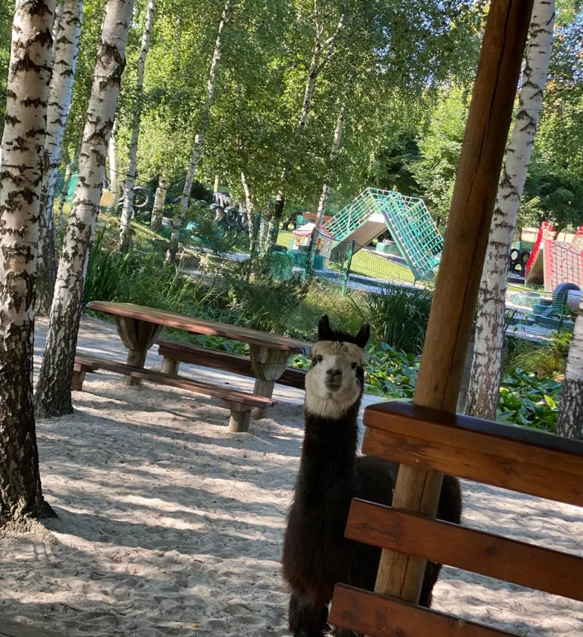 Hotel "Księżyc" w Świebodzicach