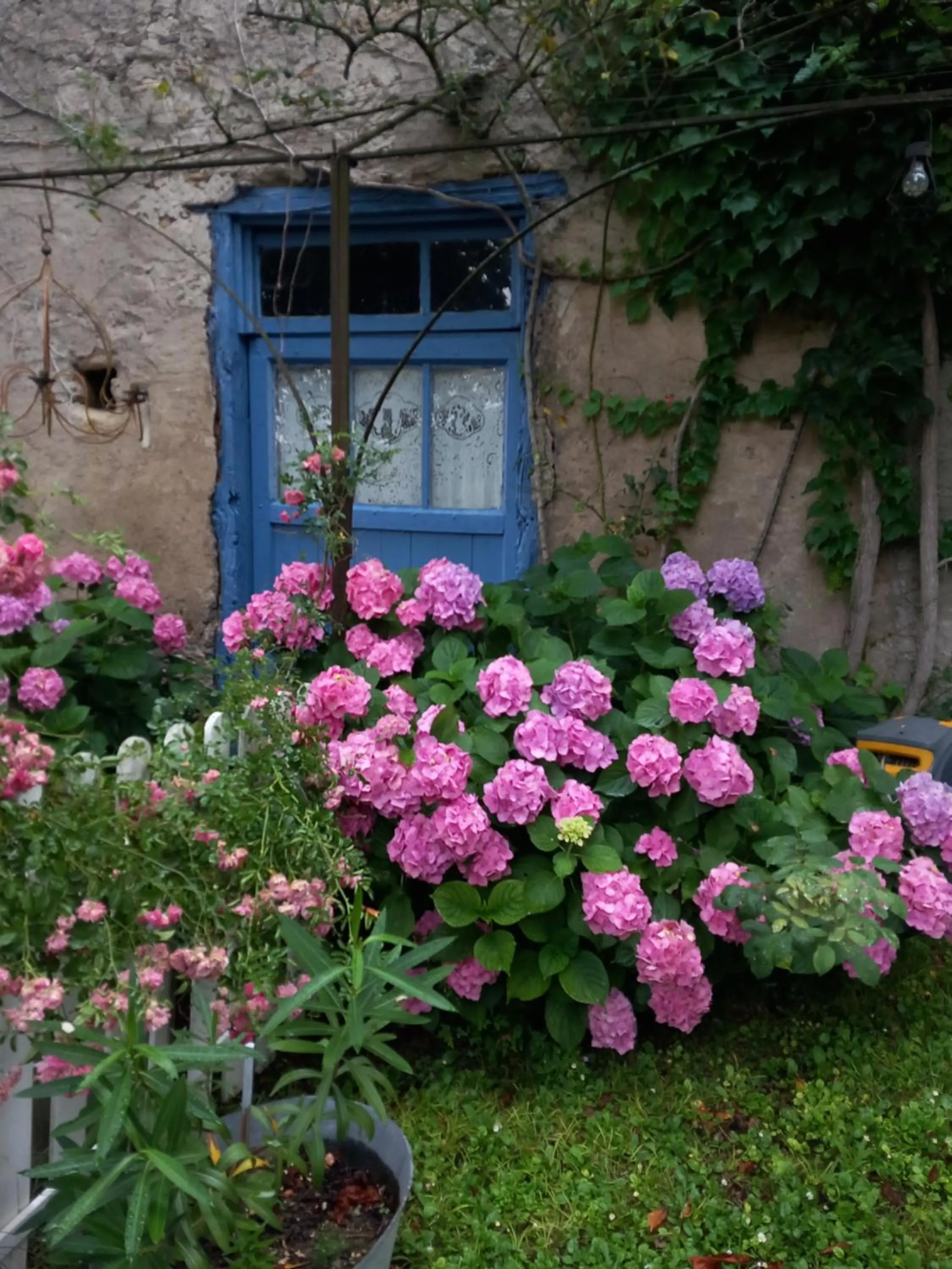 Garden view in la maison d'Anna chambres d hôtes