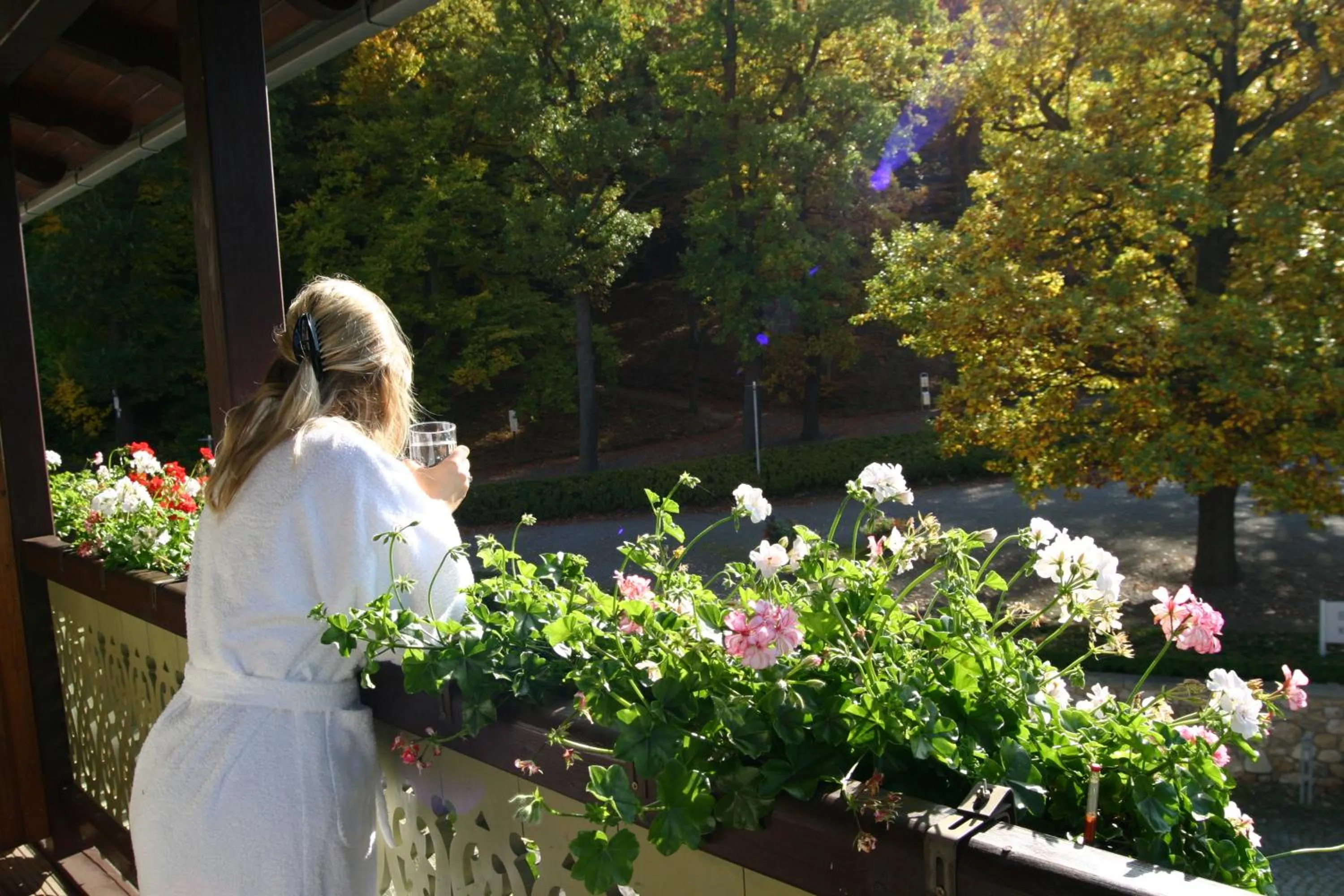 Balcony/Terrace in Kurhotel Bad Suderode