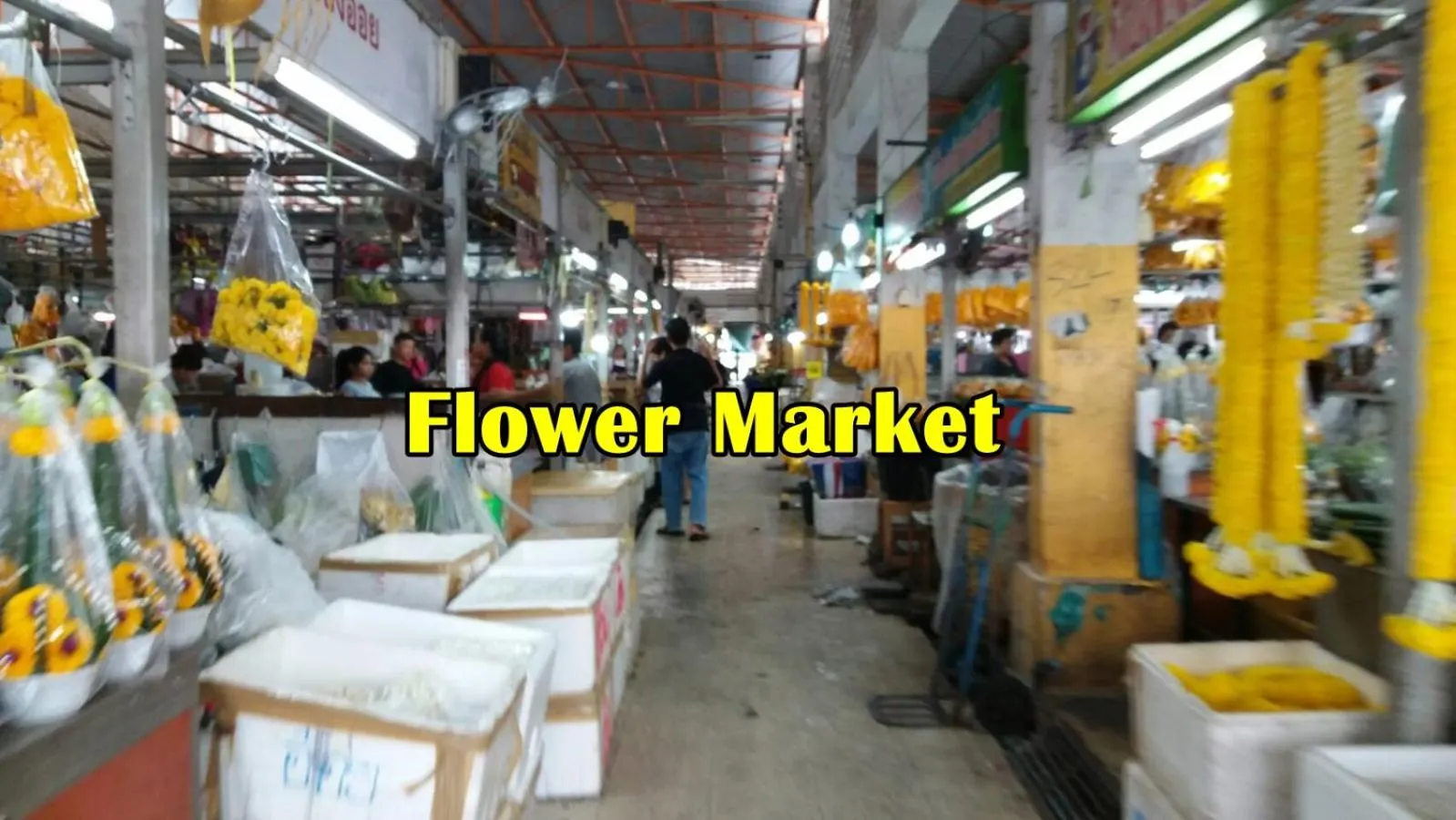 Spring in Natcha Place Rangsit Donmuang