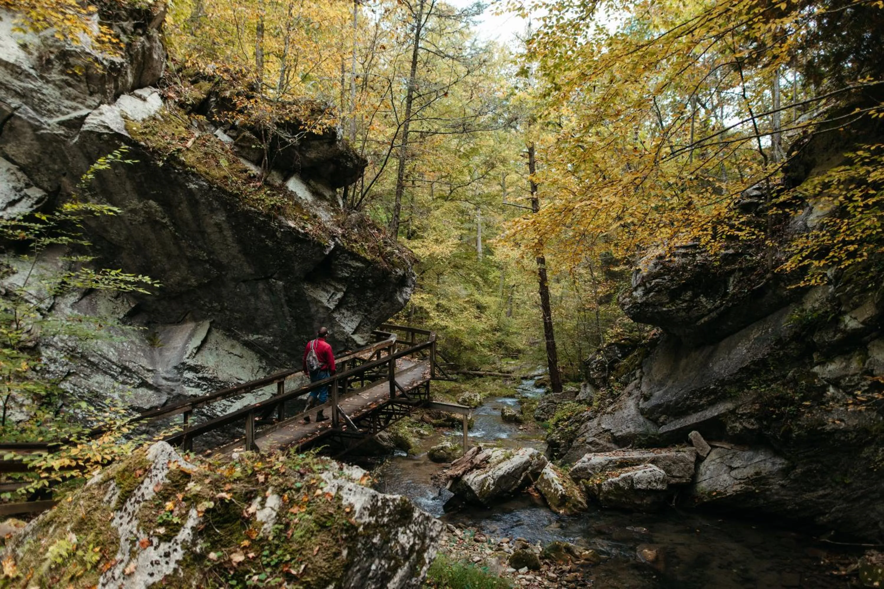 Natural landscape in The Omni Homestead Resort & Spa