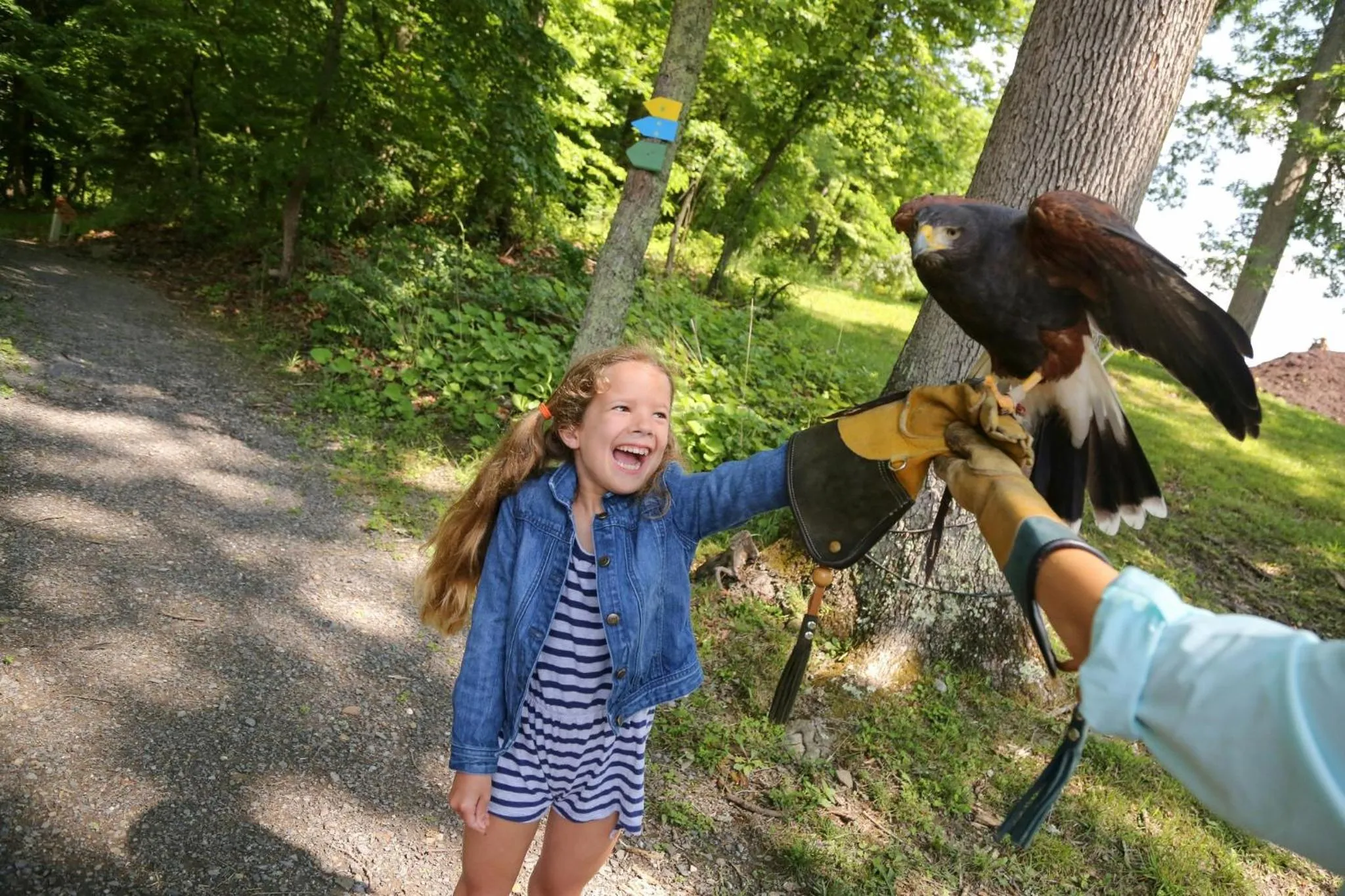 Natural landscape in The Omni Homestead Resort & Spa