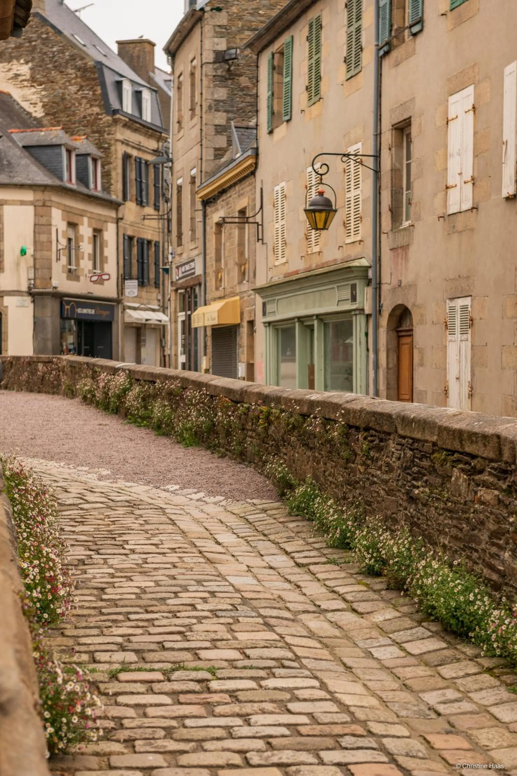 Other in CERISE Lannion